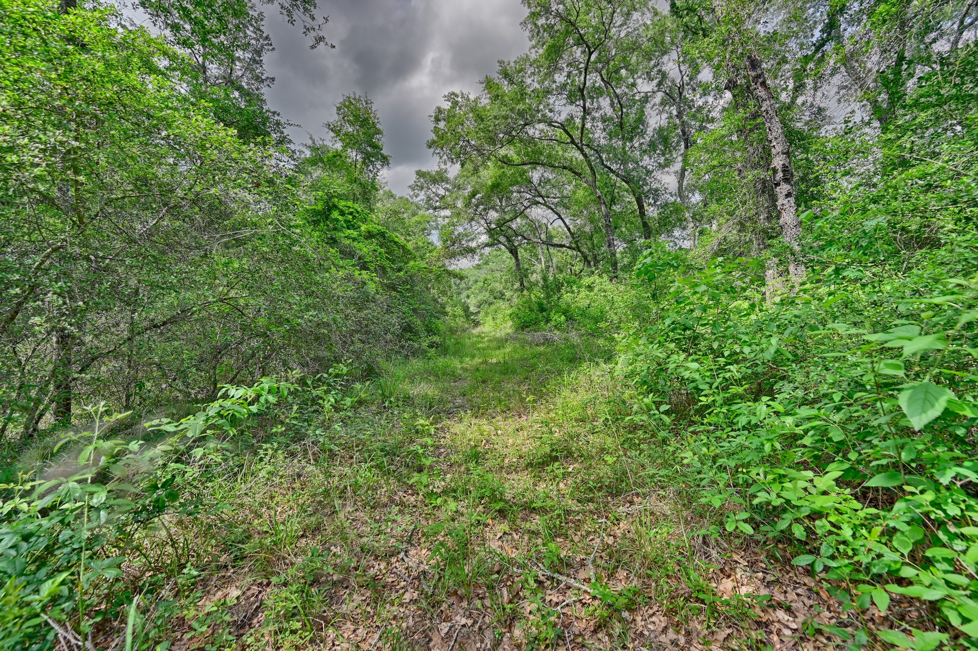 17718 Tranquil Lane Property Photo 10