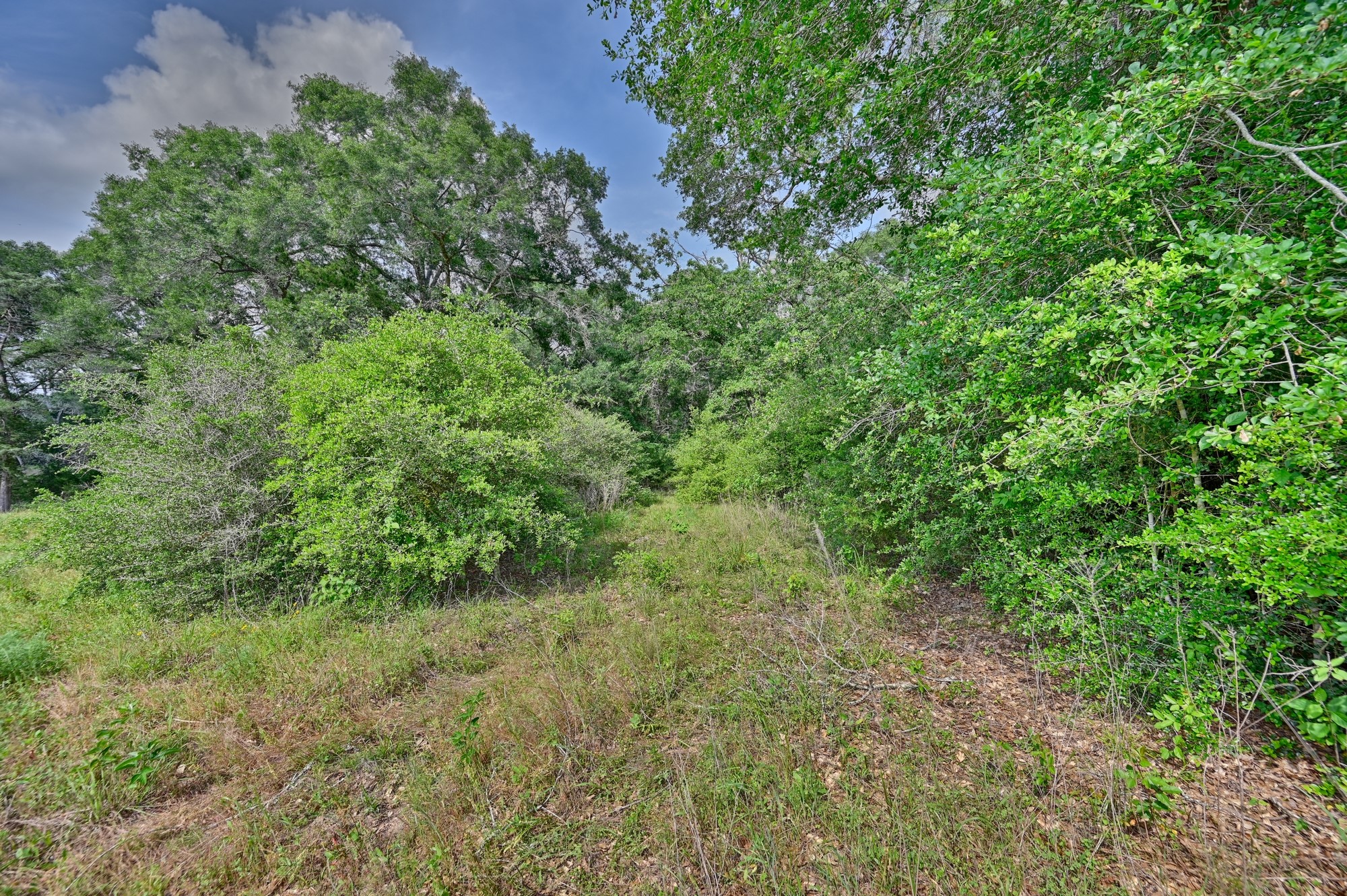 17718 Tranquil Lane Property Photo 11