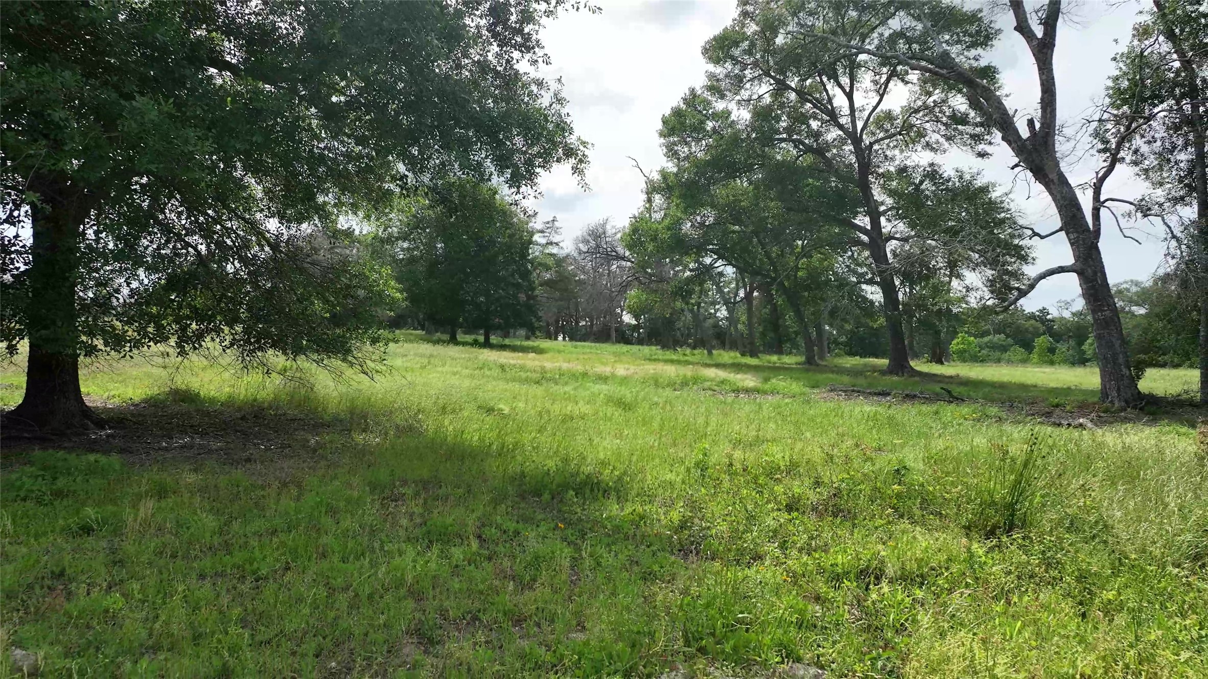 17718 Tranquil Lane Property Photo 12