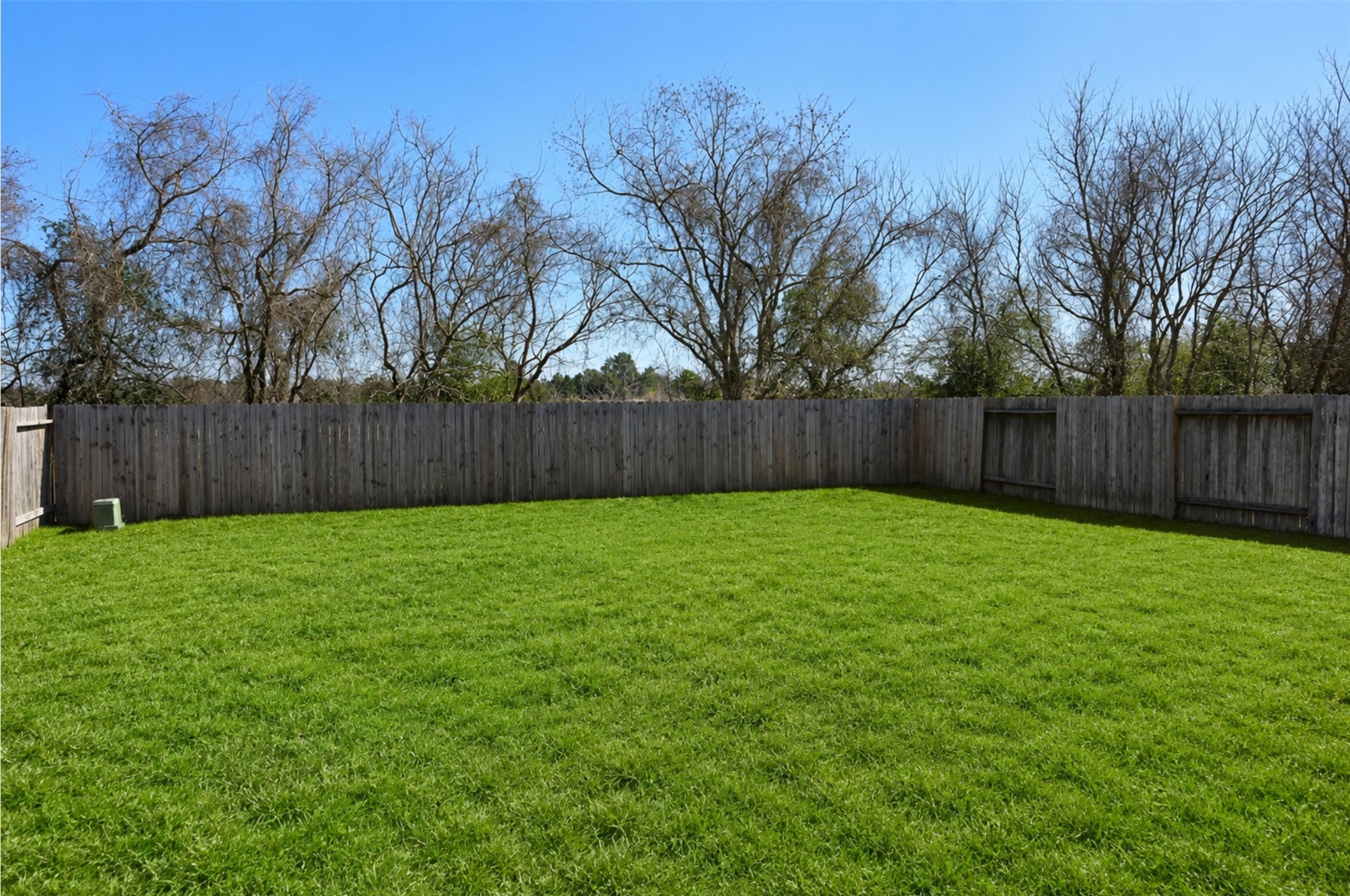 6702 Albion Cresent Drive Property Photo 36