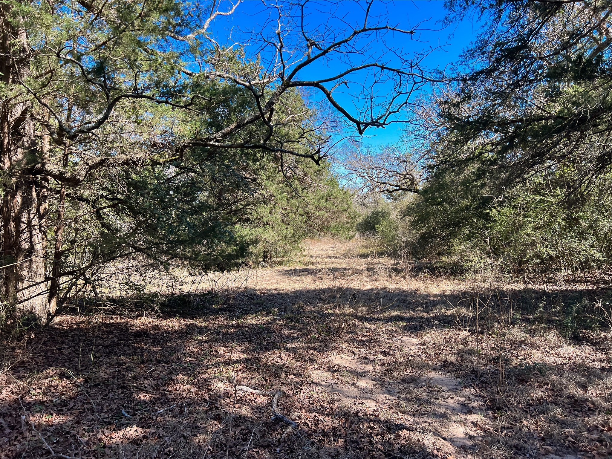 Tbd Cr 392 Property Photo