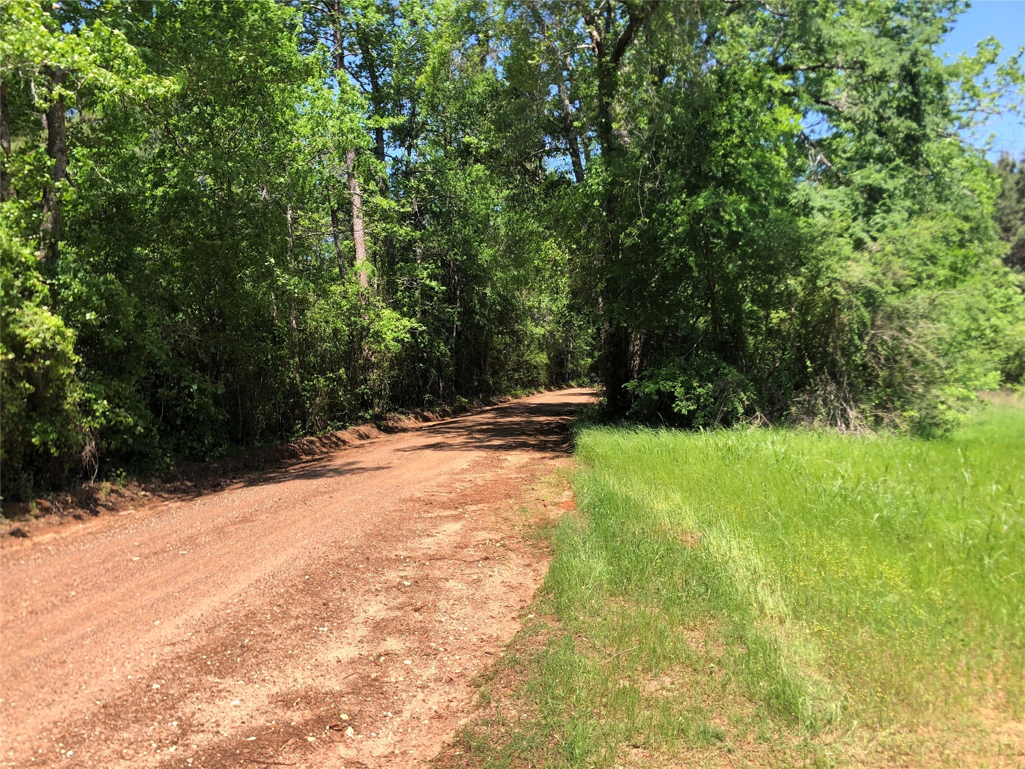 Lot#1 County Road 837 Property Photo 2