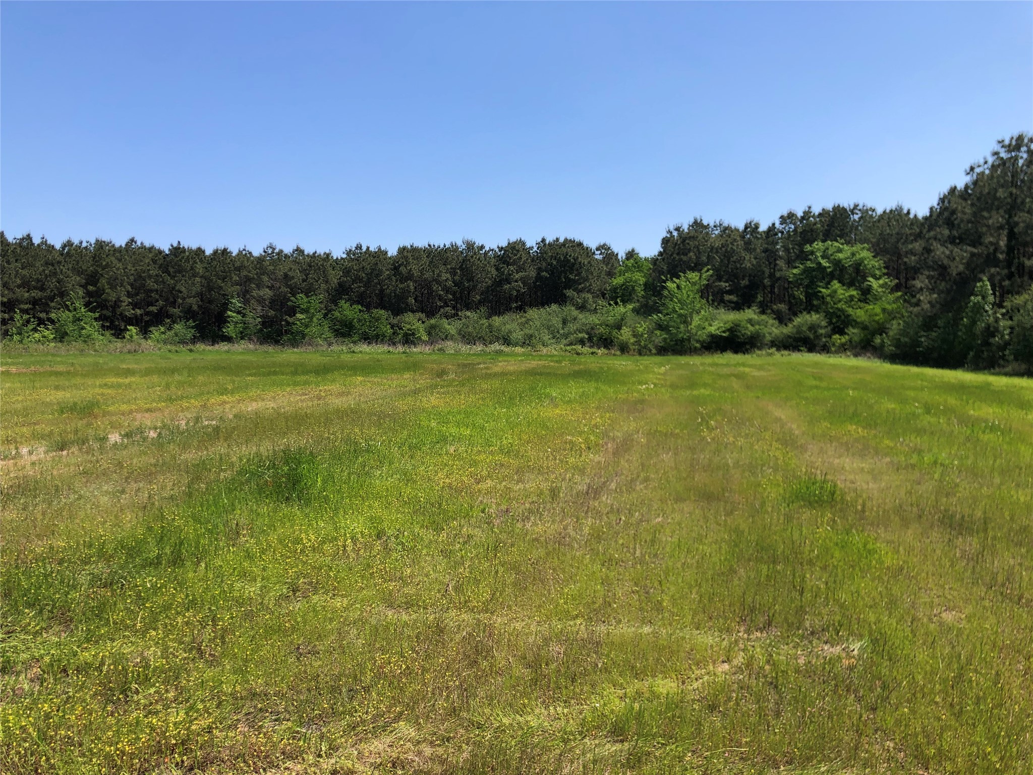 Lot#1 County Road 837 Property Photo 6