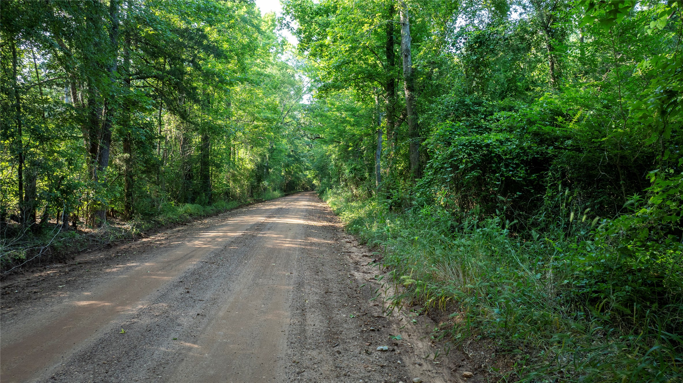 Lot#1 County Road 837 Property Photo 10