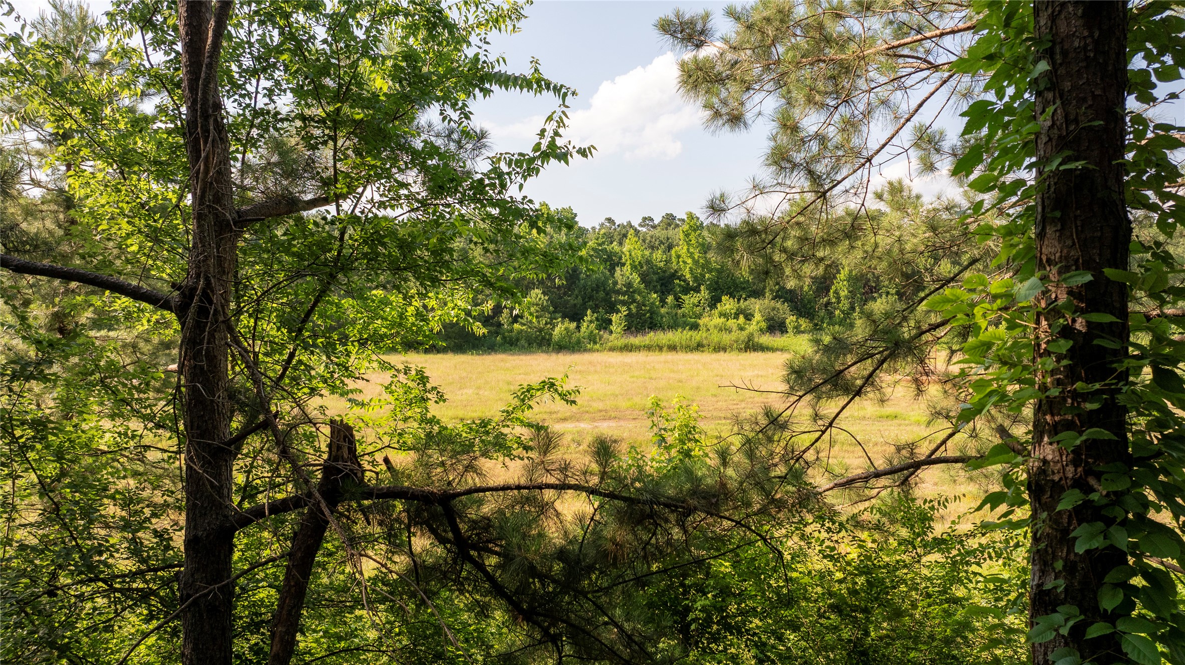 Lot#1 County Road 837 Property Photo 15