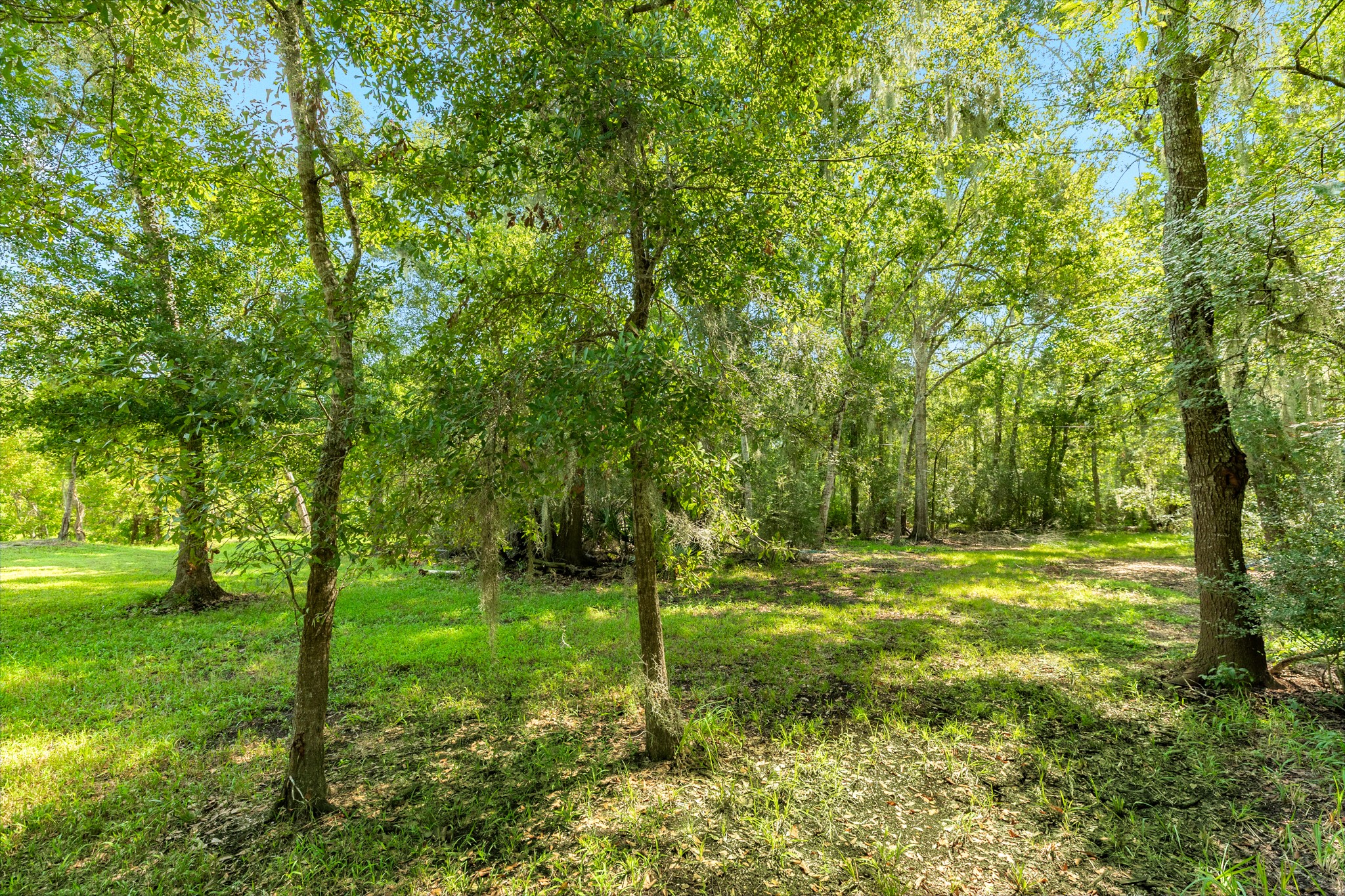 1219 Chuckwagon Court Property Photo 50