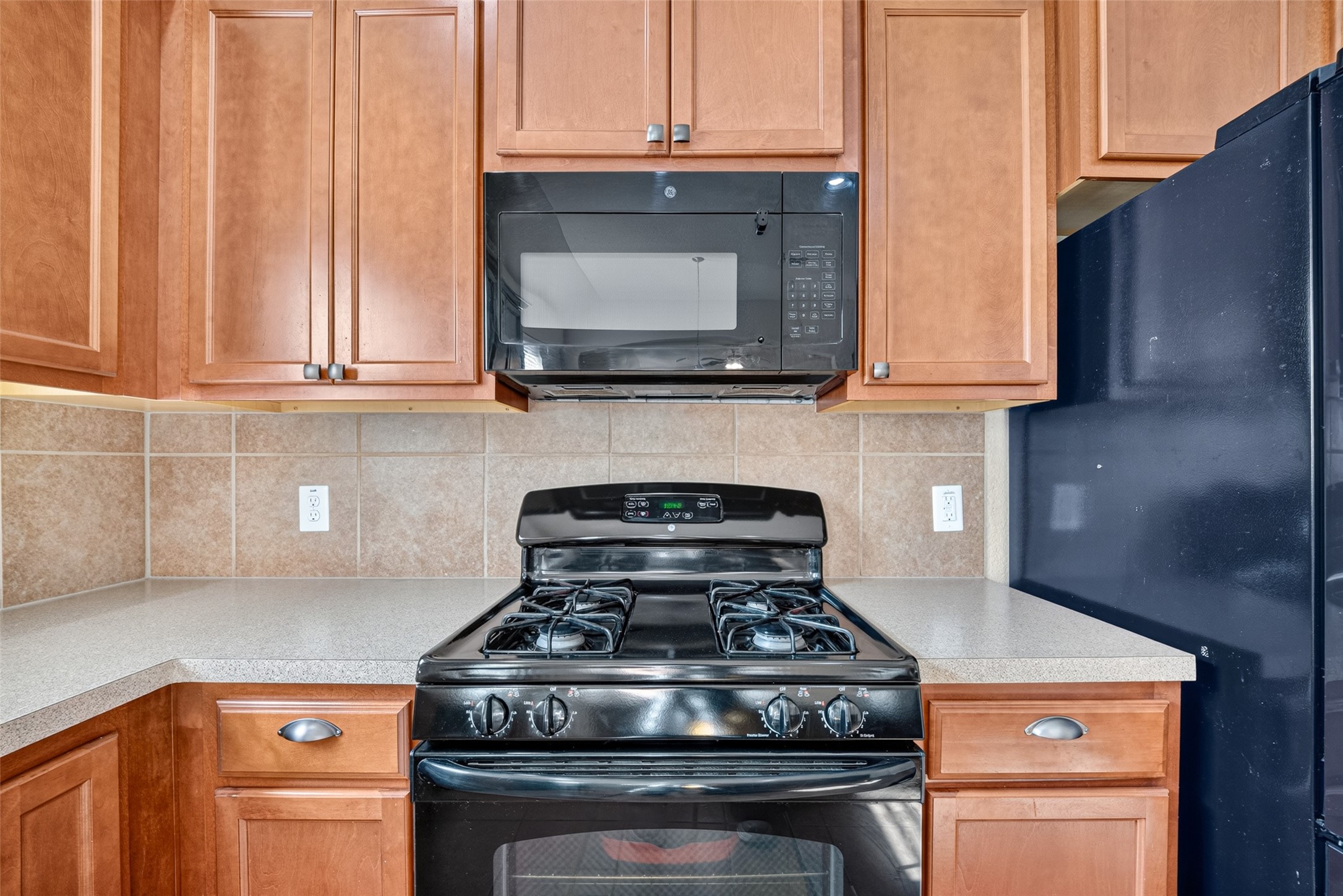 15723 Mountain Mist Trail Property Photo 24