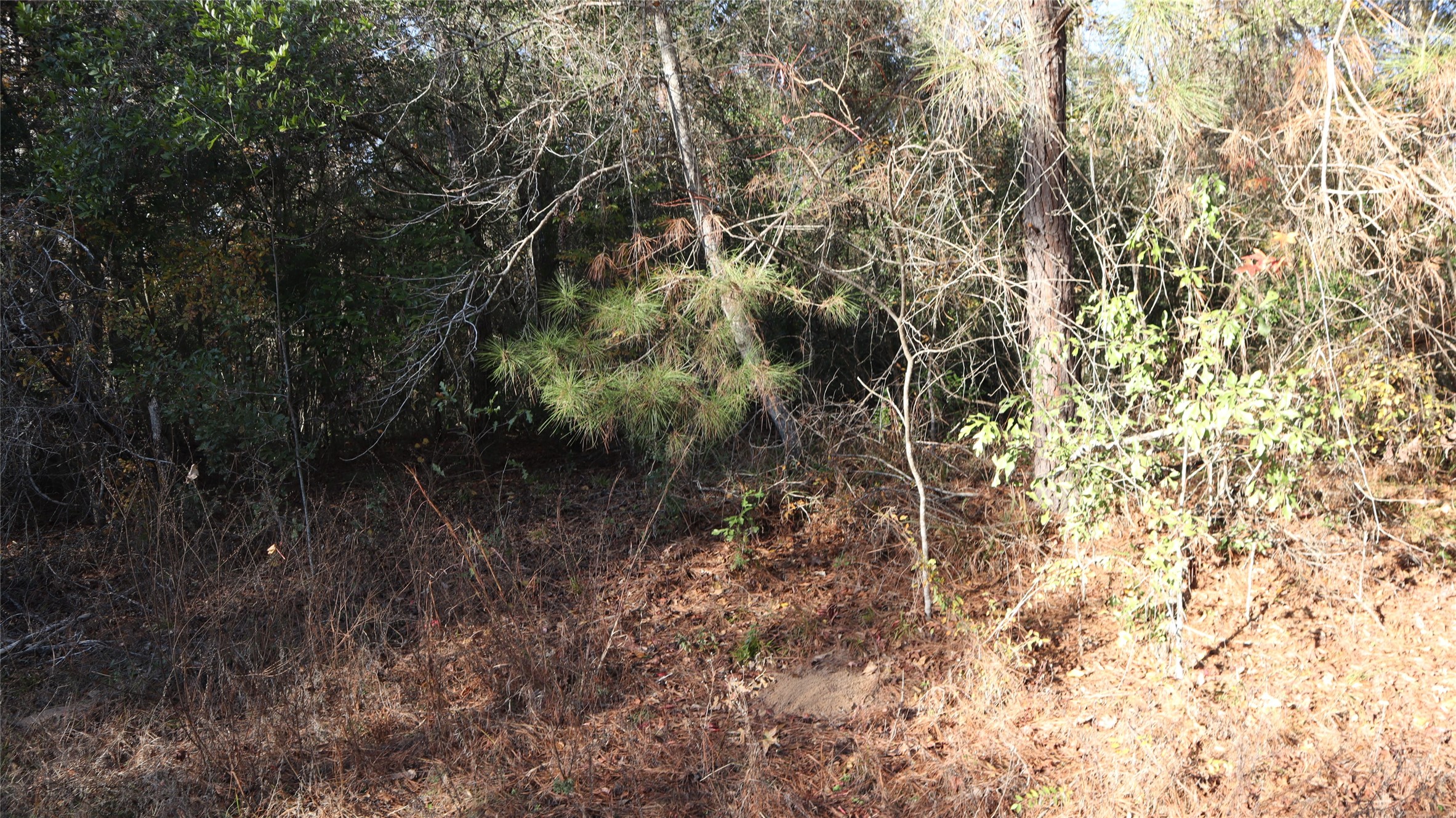 0 Pin Tail Drive Property Photo 1