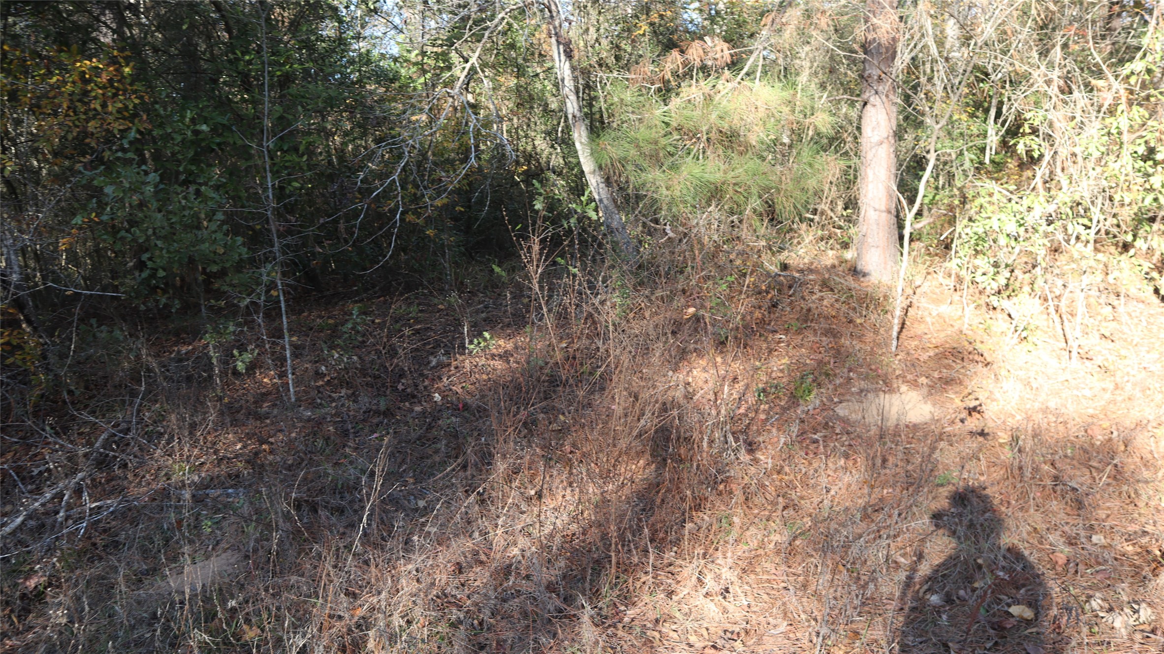 0 Pin Tail Drive Property Photo 2