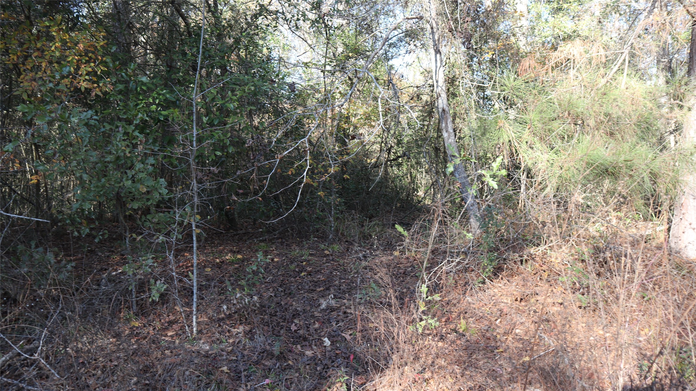 0 Pin Tail Drive Property Photo 3