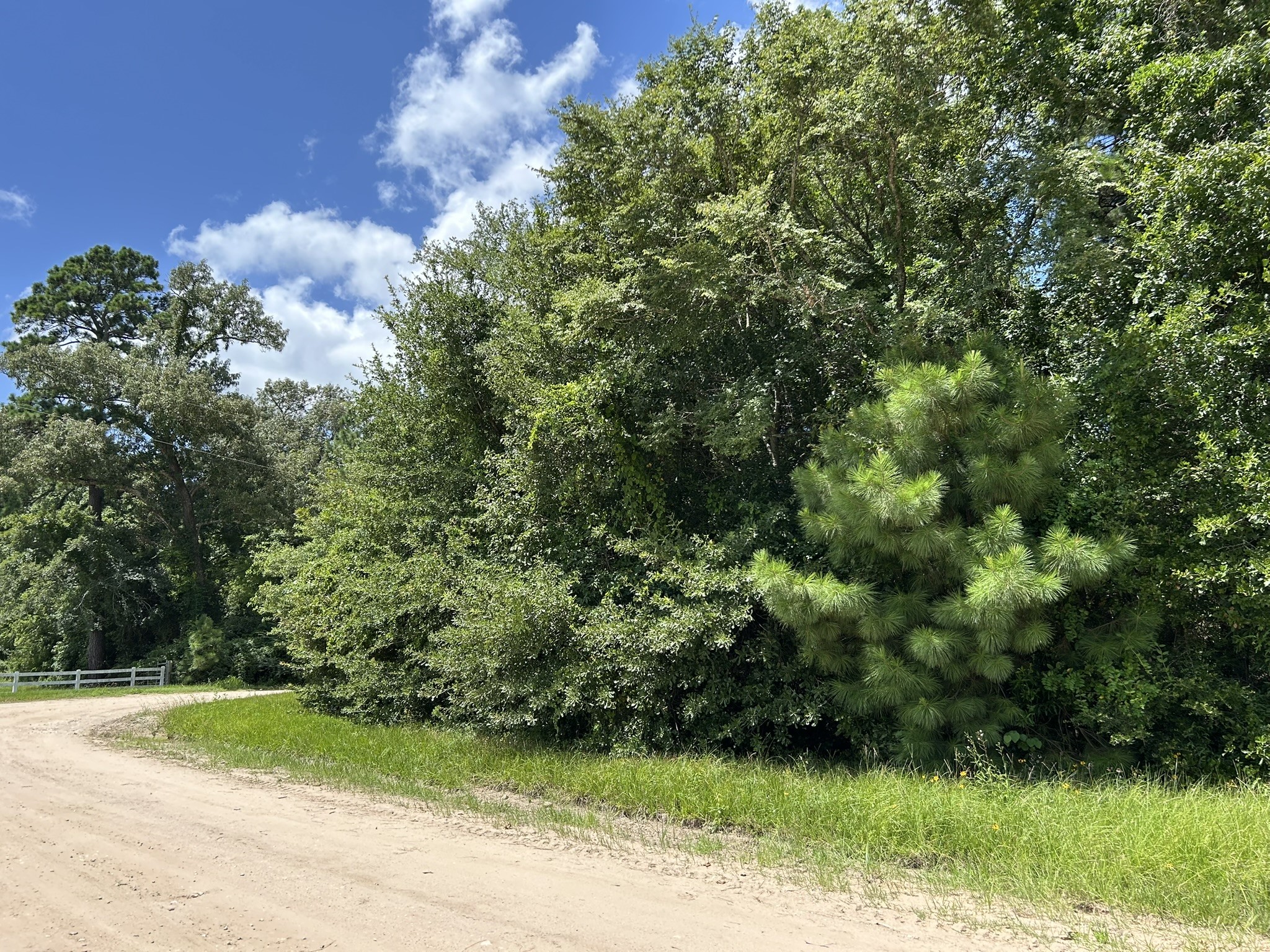 87 Townley Ranch Road Property Photo 2