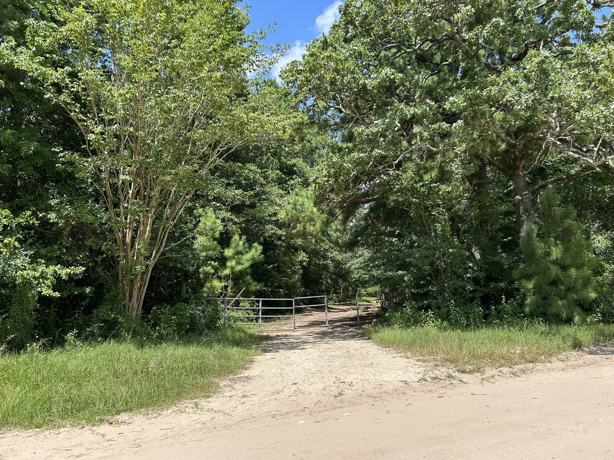 87 Townley Ranch Road Property Photo 3