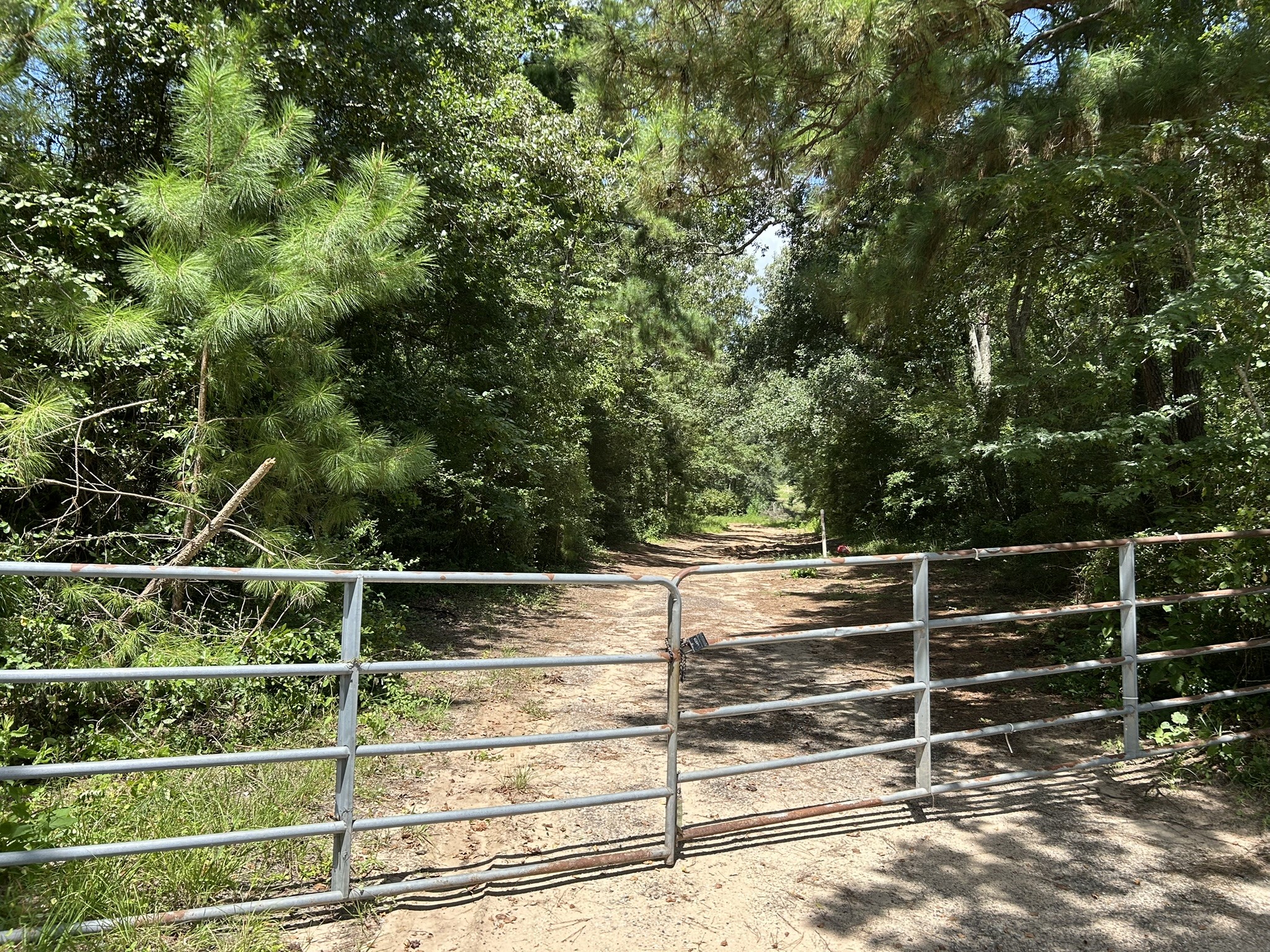 87 Townley Ranch Road Property Photo 4