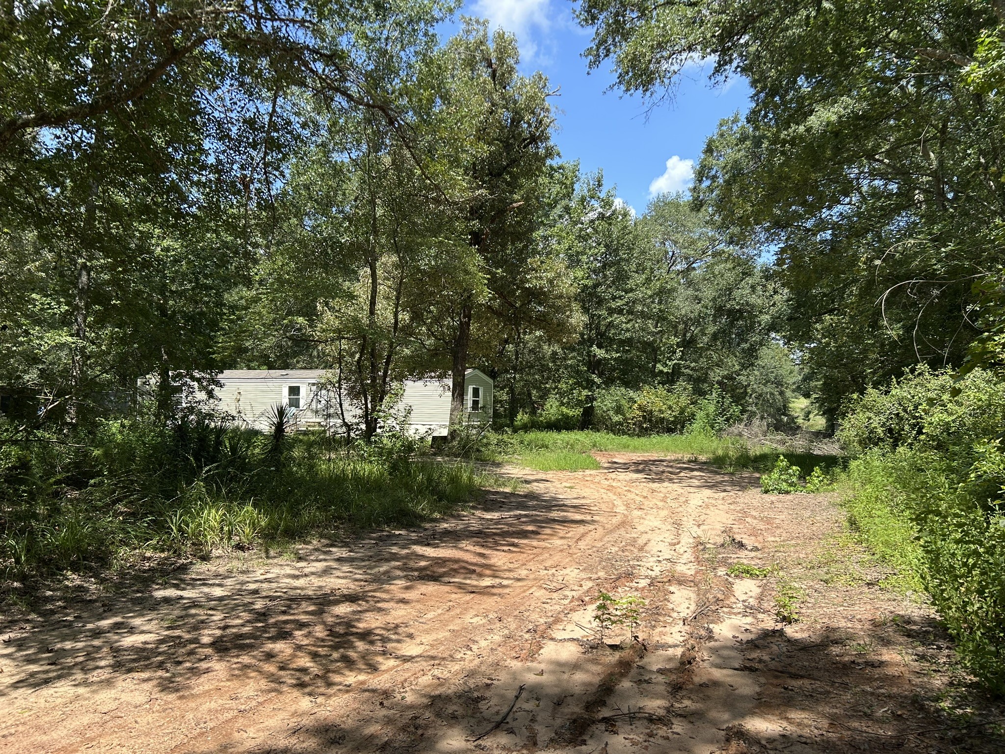 87 Townley Ranch Road Property Photo 34