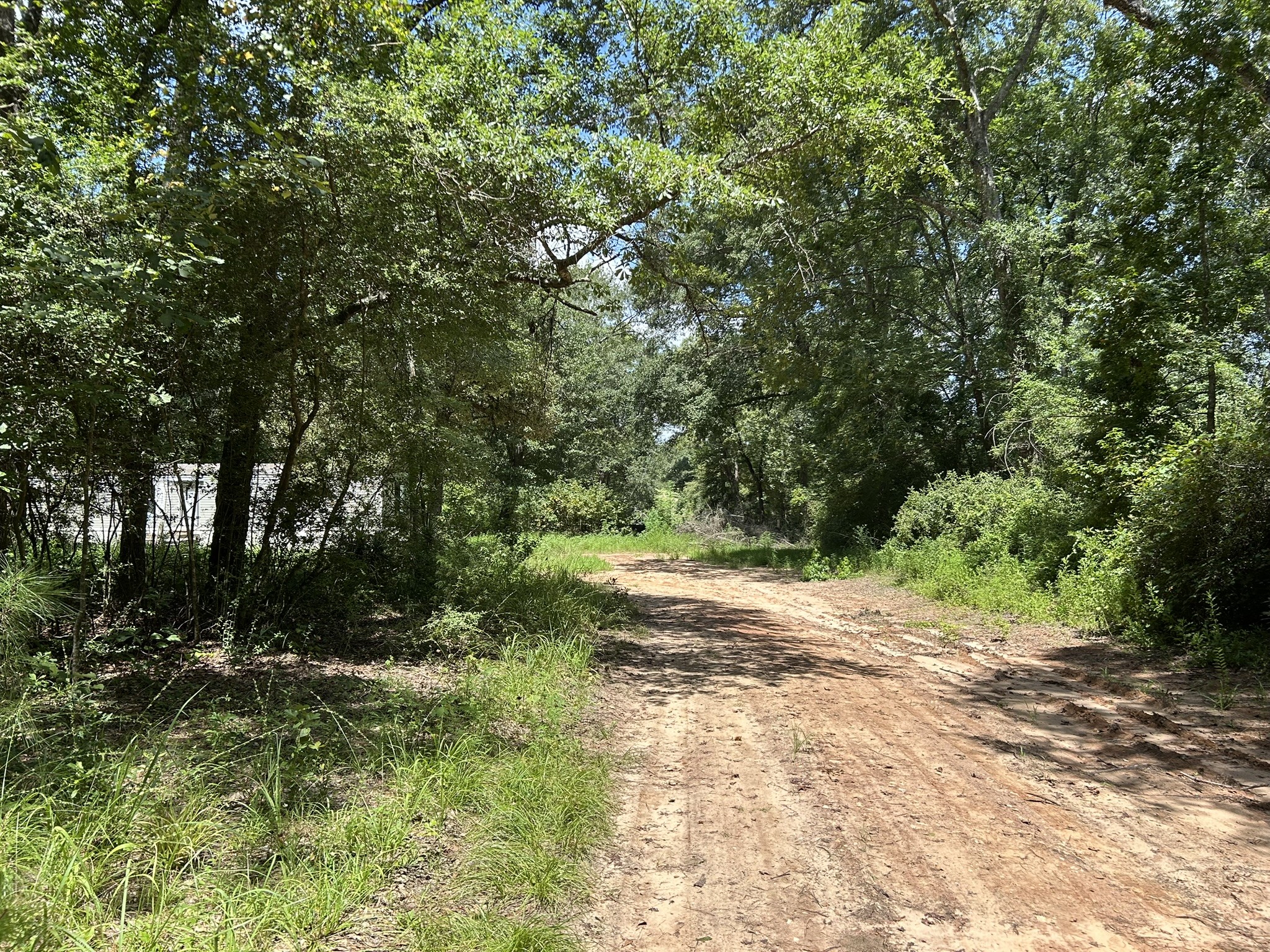 87 Townley Ranch Road Property Photo 35