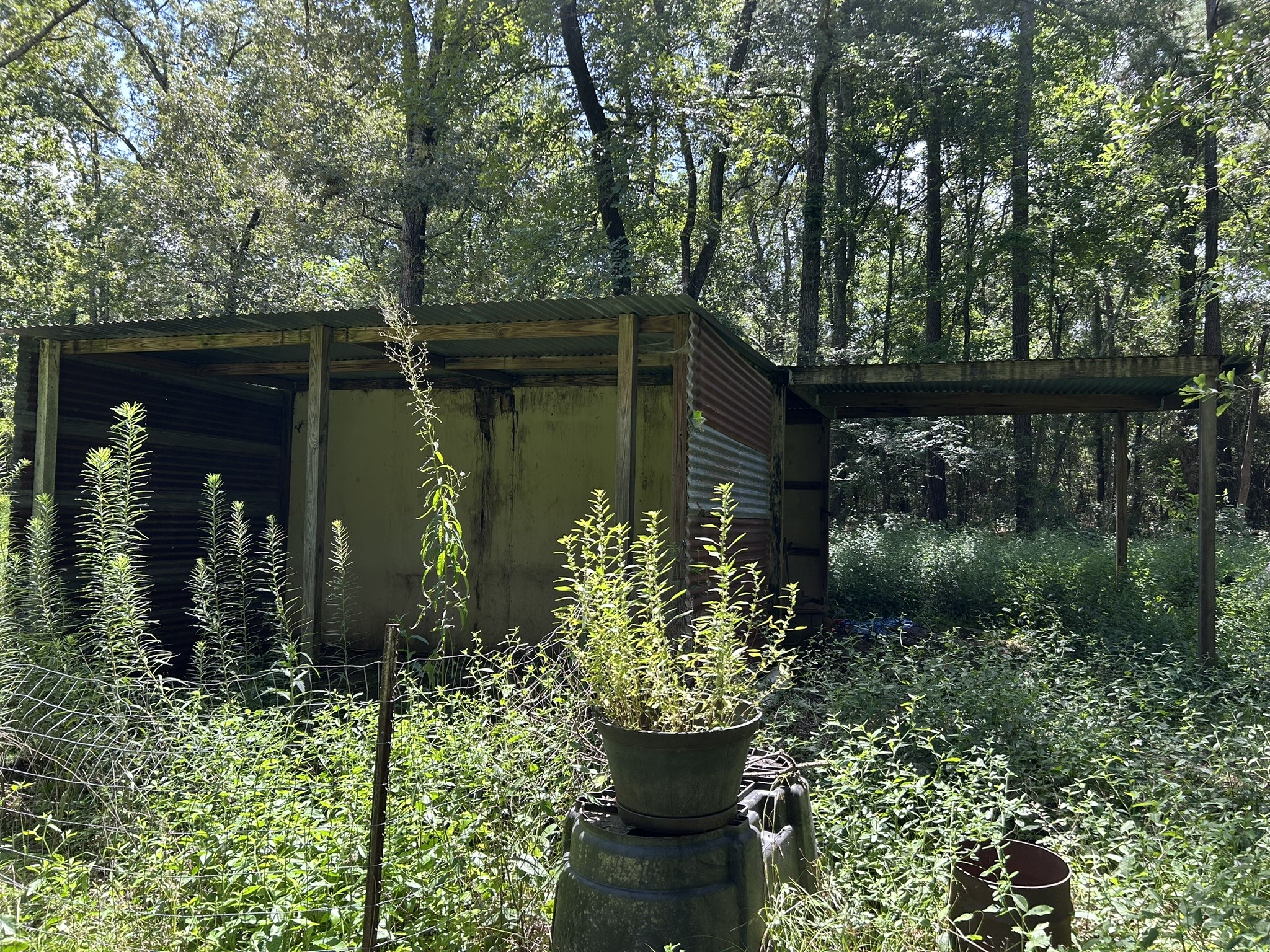 87 Townley Ranch Road Property Photo 37