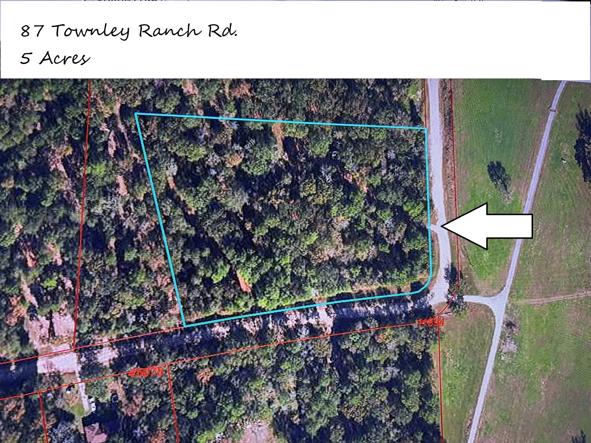 87 Townley Ranch Road Property Photo 38