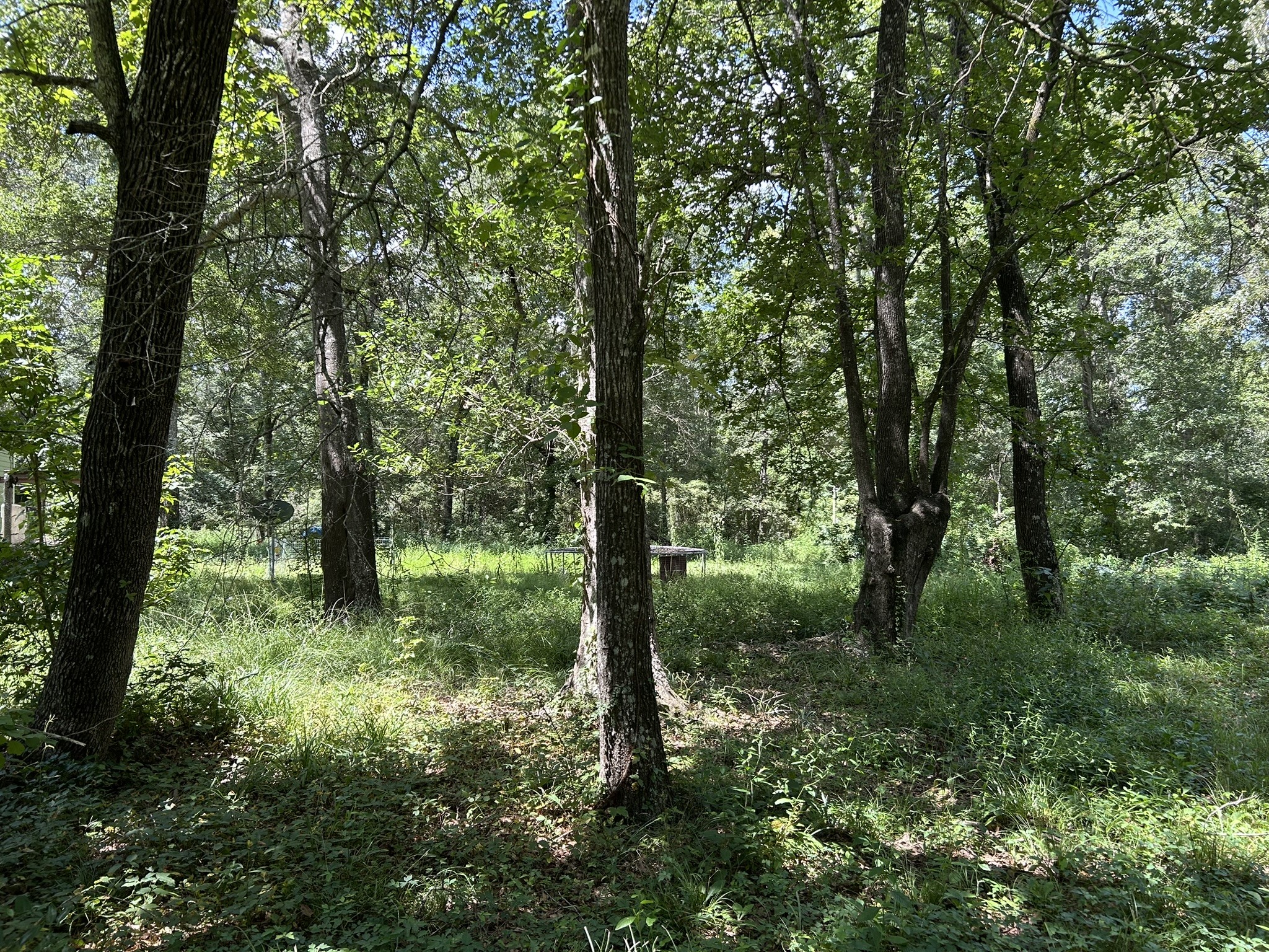 87 Townley Ranch Road Property Photo 39
