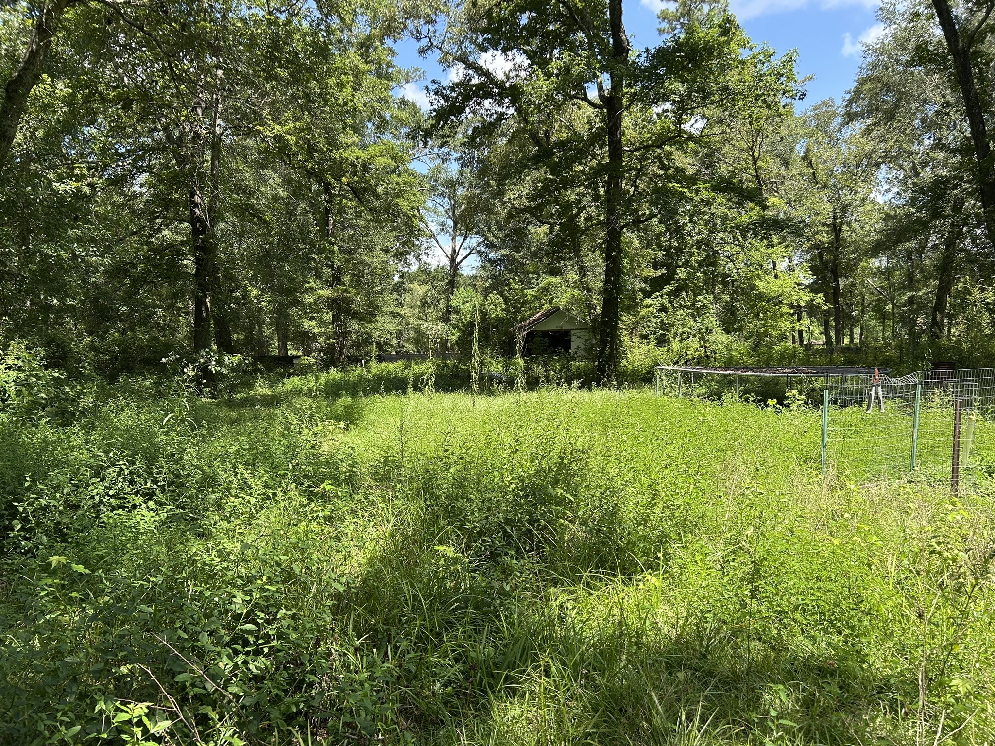 87 Townley Ranch Road Property Photo 41