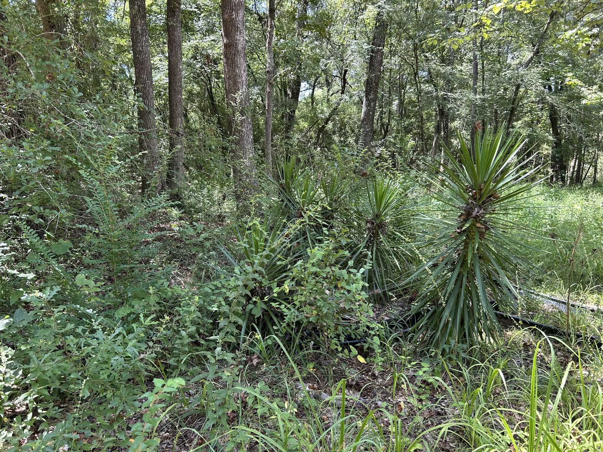 87 Townley Ranch Road Property Photo 42