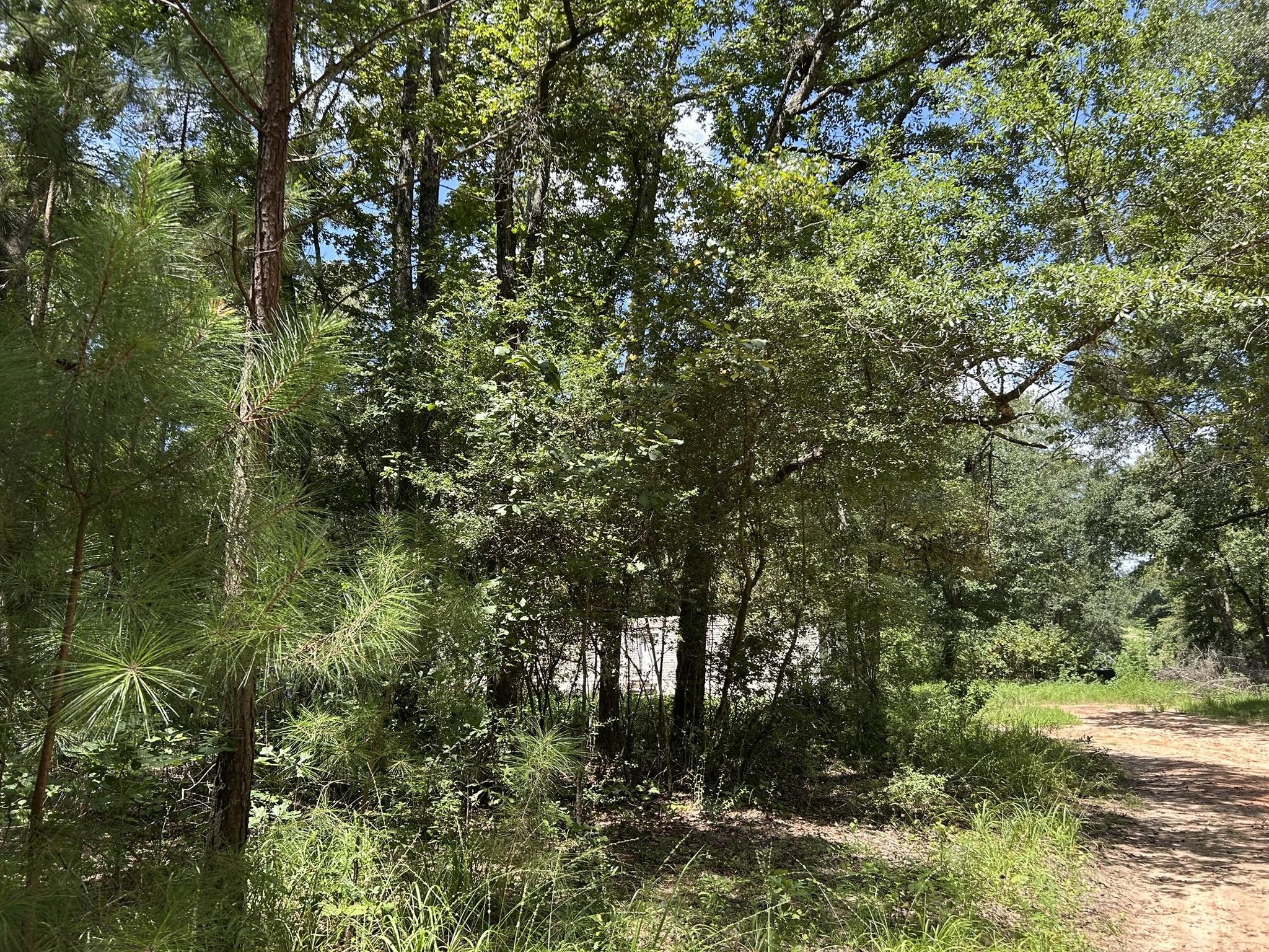 87 Townley Ranch Road Property Photo 45