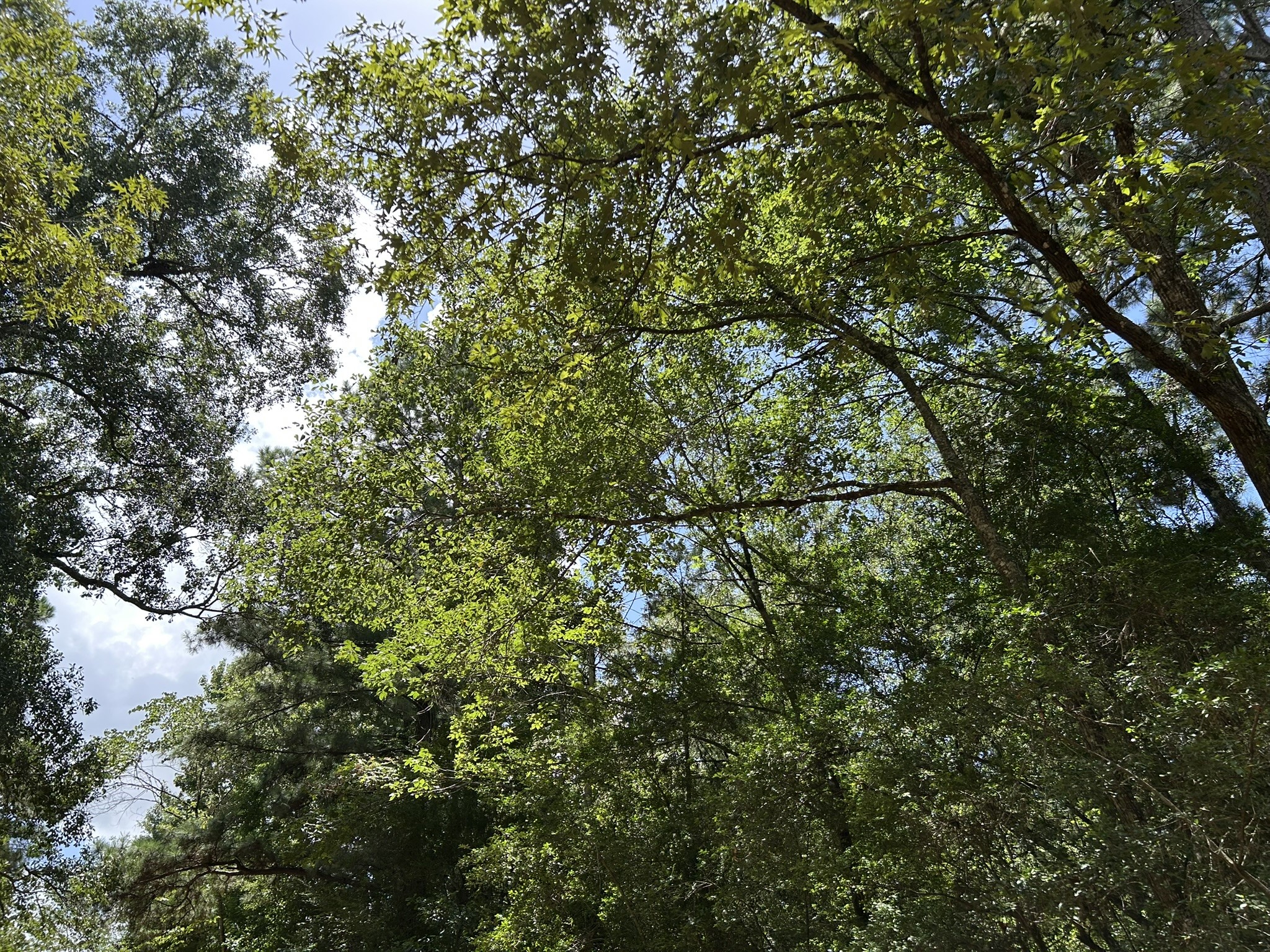 87 Townley Ranch Road Property Photo 47