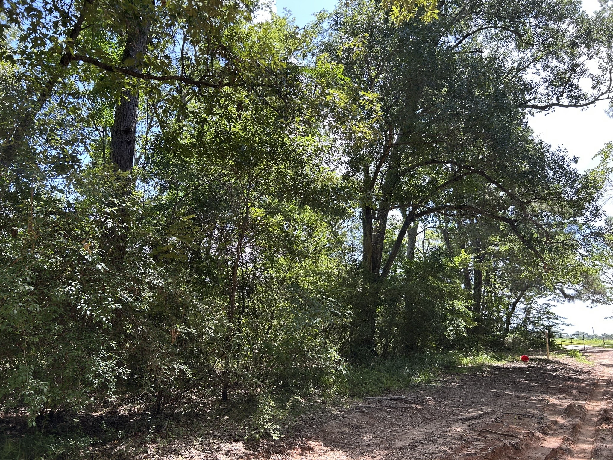 87 Townley Ranch Road Property Photo 49
