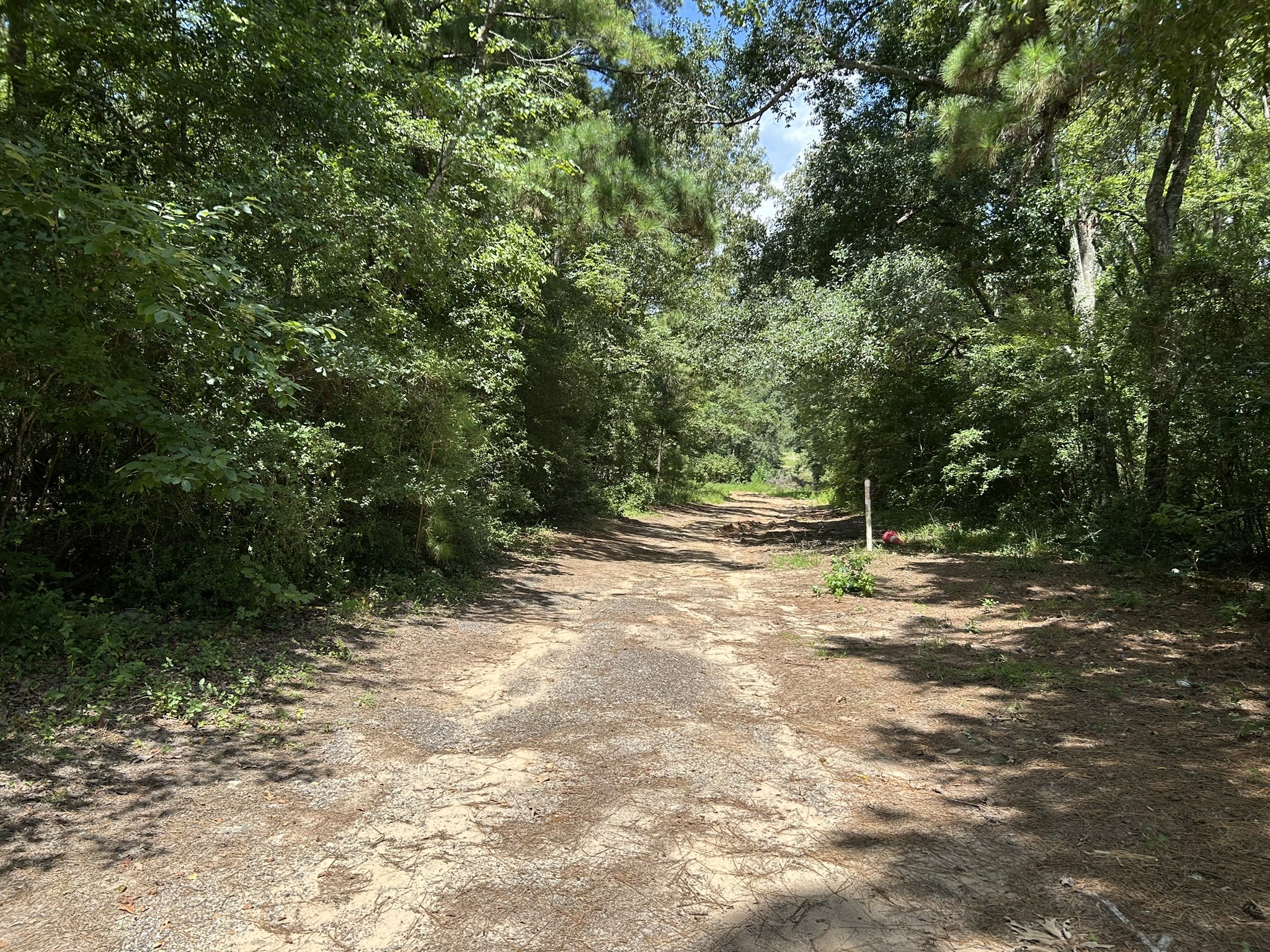 87 Townley Ranch Road Property Photo 50