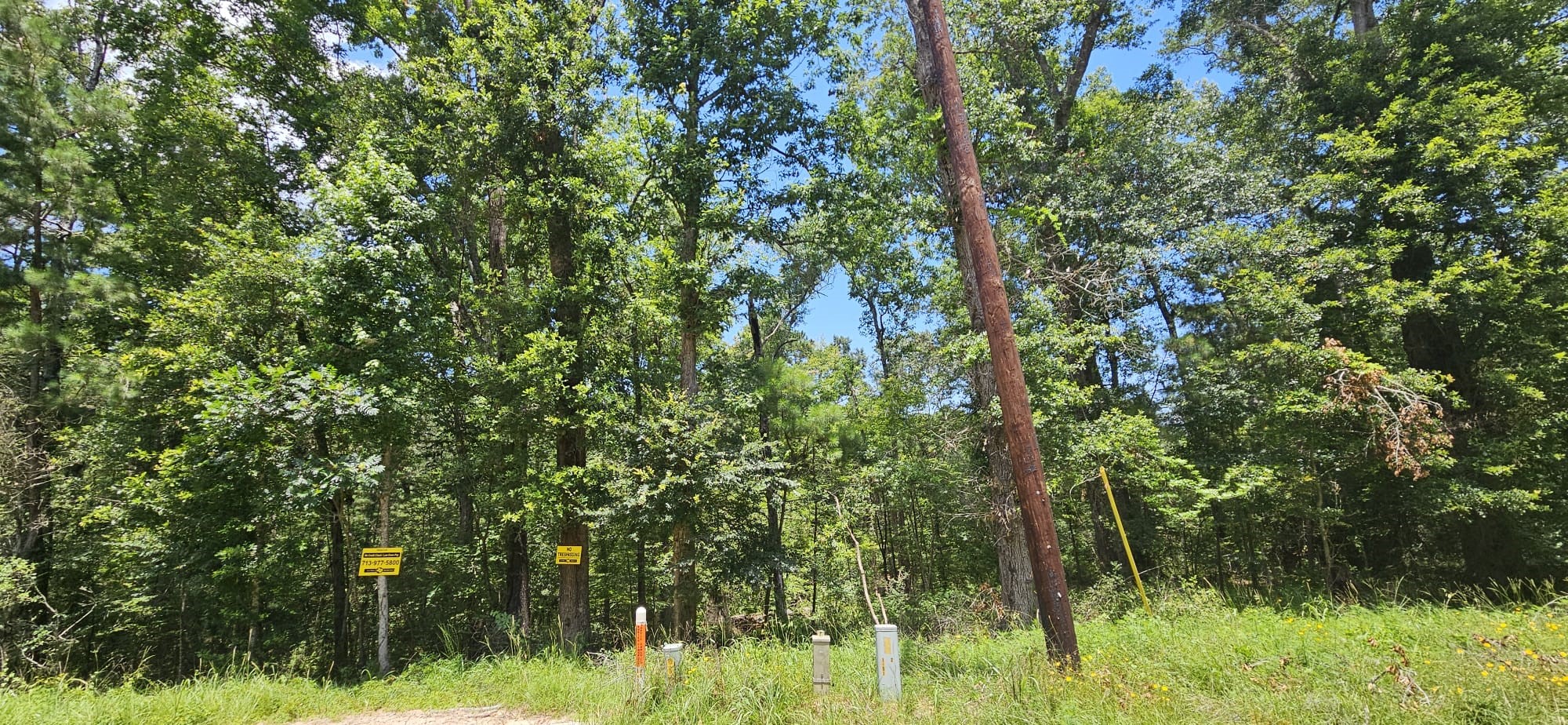 0 Harrell Road Property Photo 1