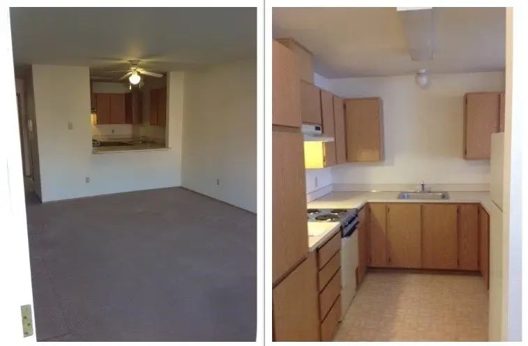 806 Shumway Road 50 Property Photo 6