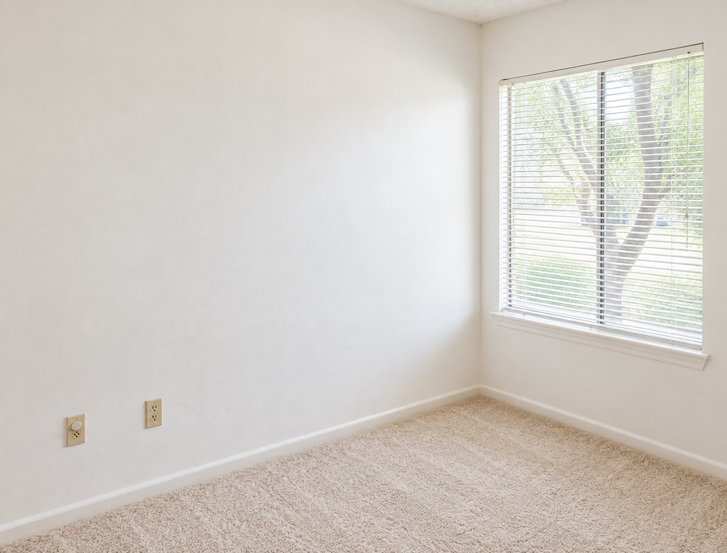 1539 Beaconshire Road Property Photo 11