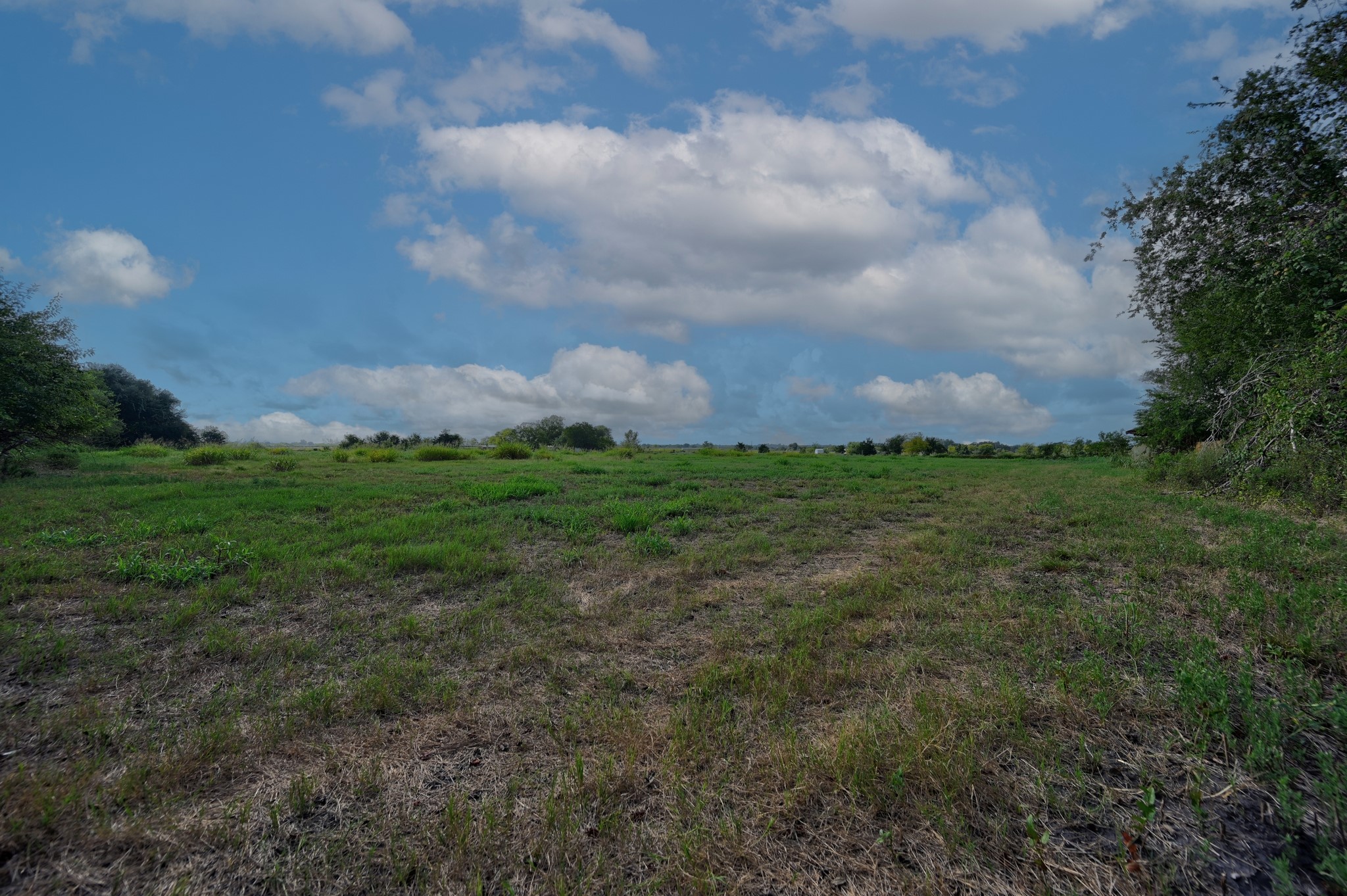 15650 Highway 290 W Property Photo 26