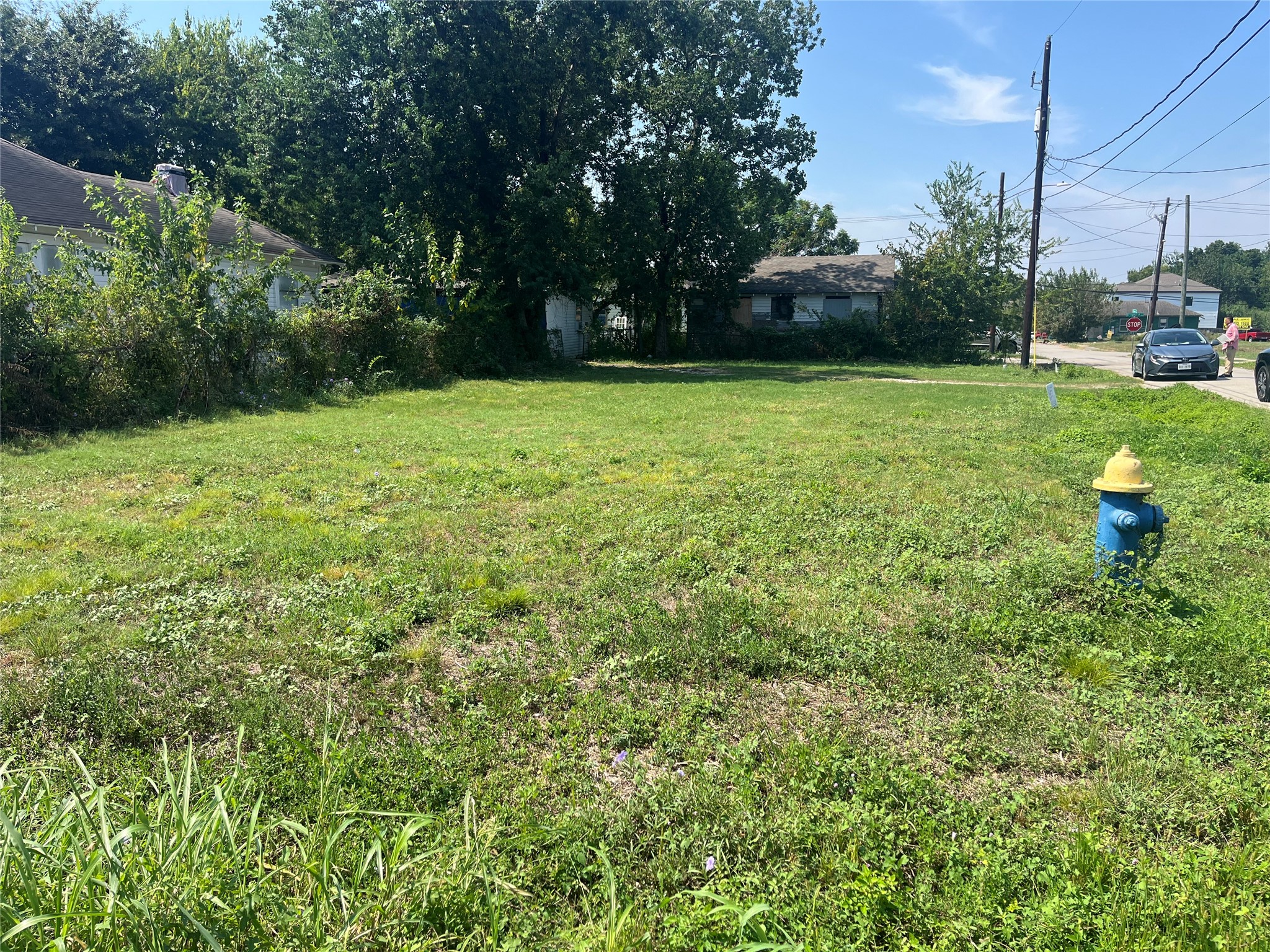 3620 Farmer Street Property Photo 3