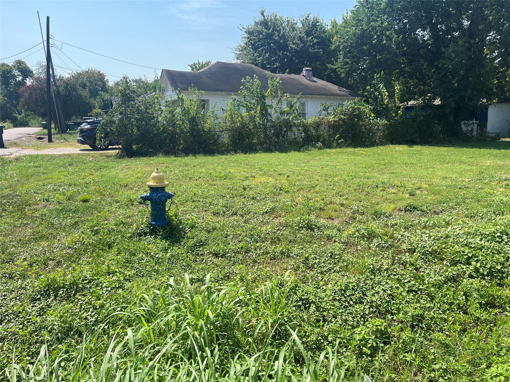 3620 Farmer Street Property Photo 4