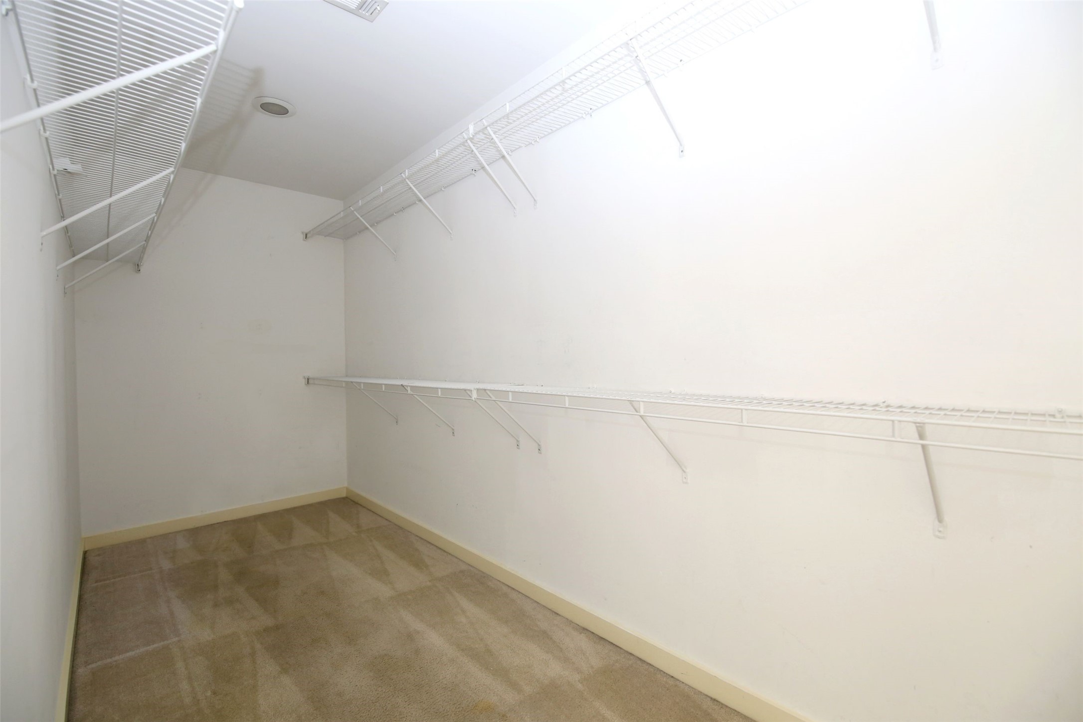 2819 Crawford Property Photo 17