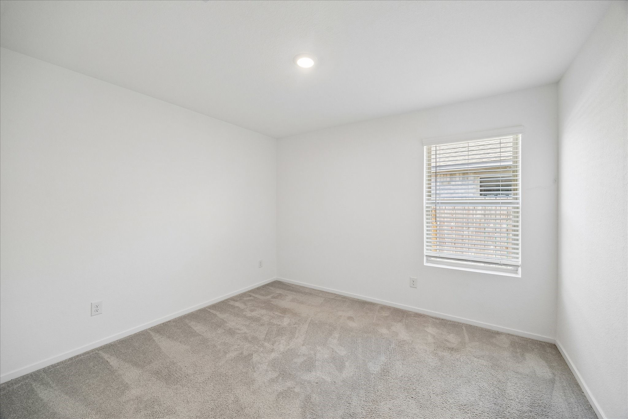 21583 Casavatore Dr Property Photo 16