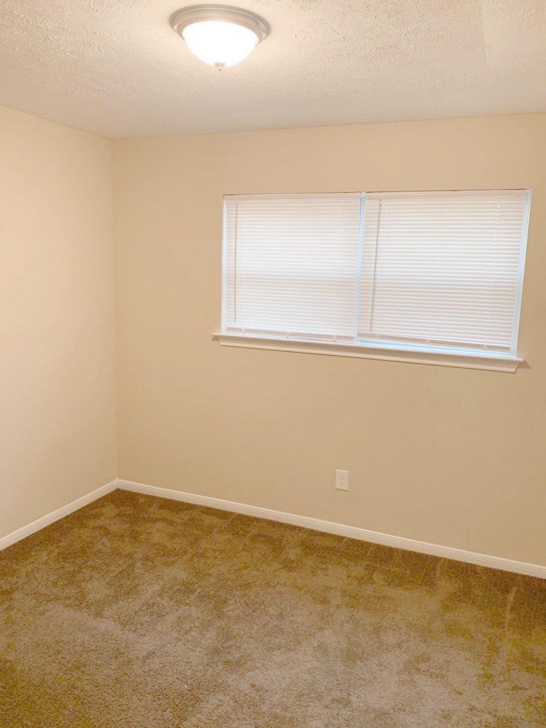 2334 Marble Falls Drive Property Photo 13