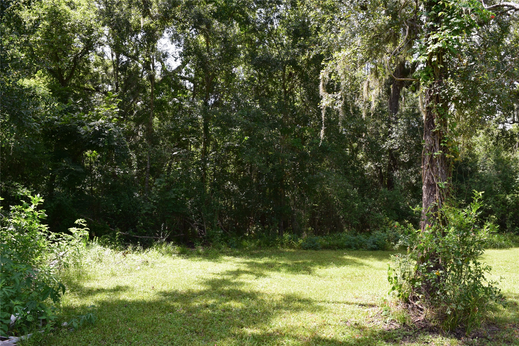 00 Colony Drive Property Photo 6