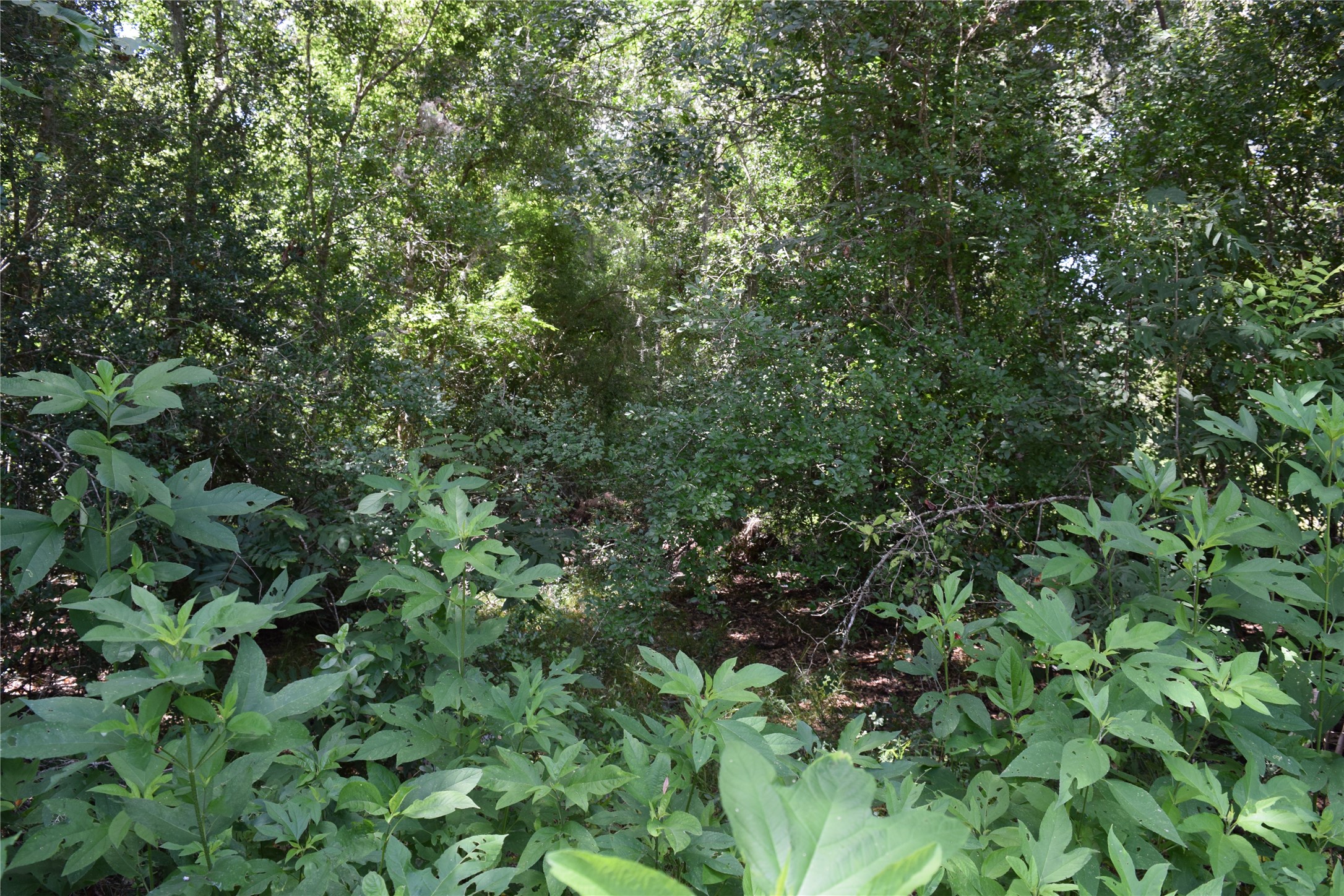 00 Colony Drive Property Photo 7