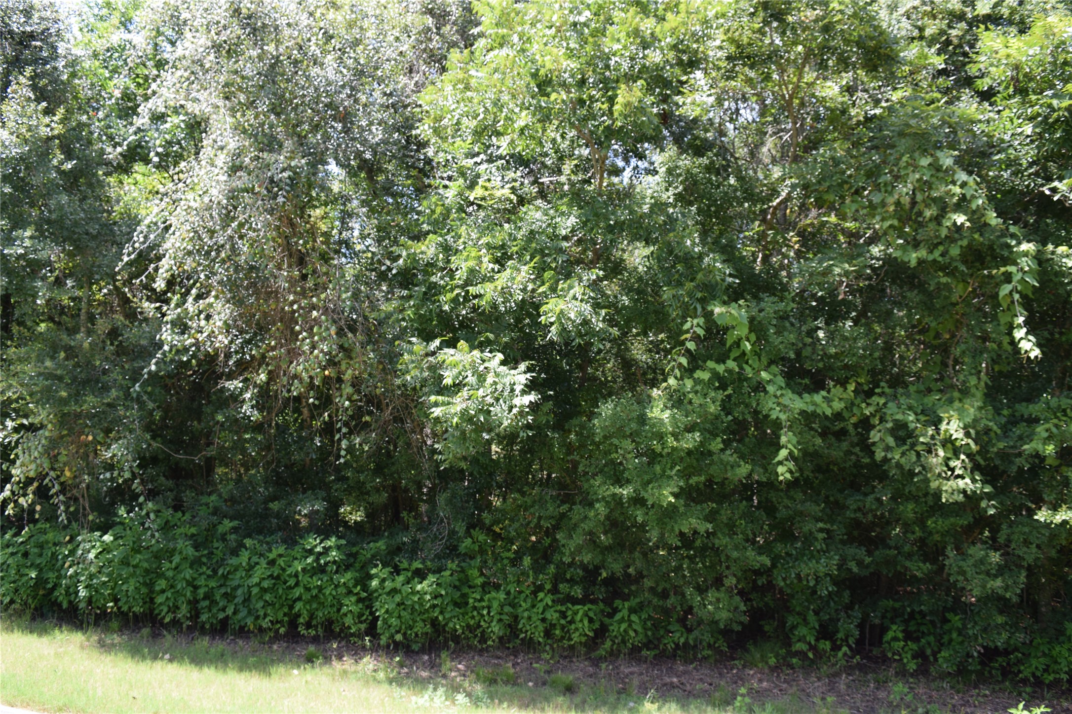 00 Colony Drive Property Photo 9