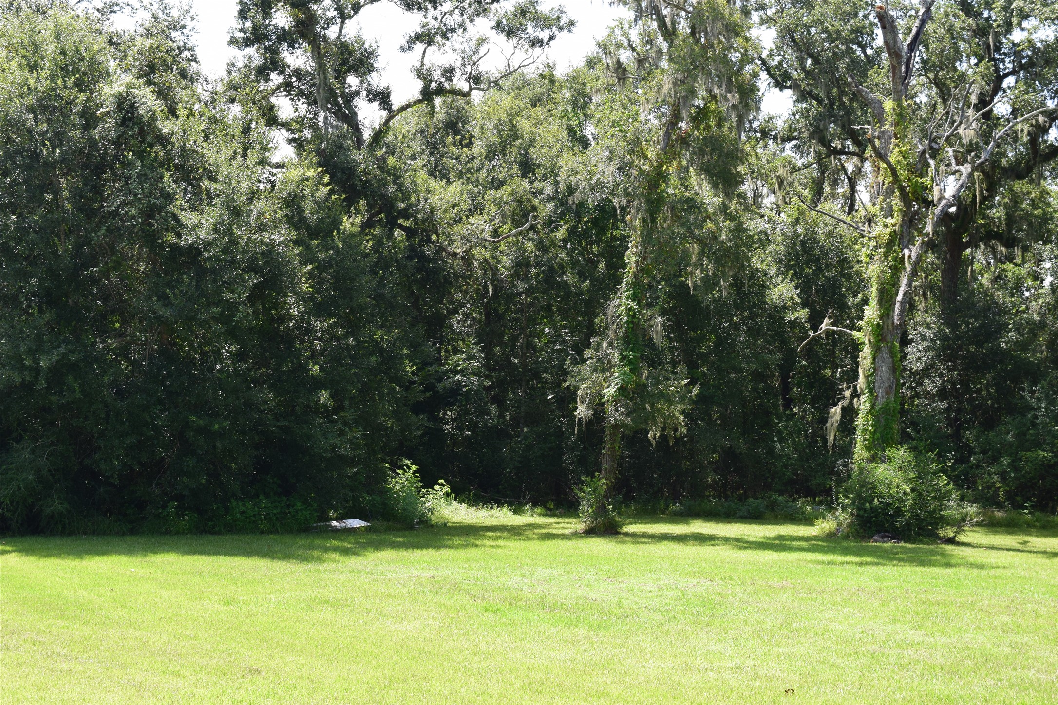 00 Colony Drive Property Photo 10