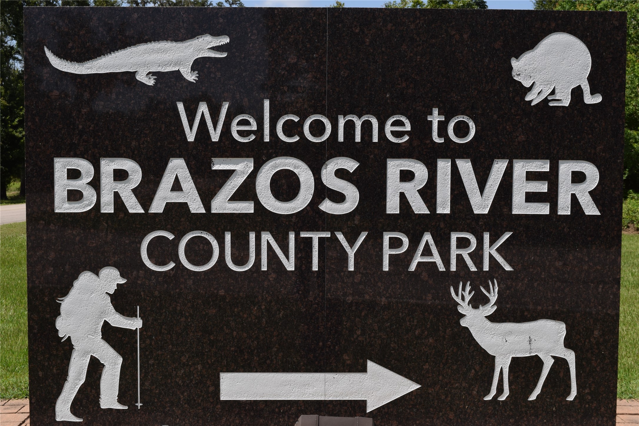 00 Colony Drive Property Photo 13