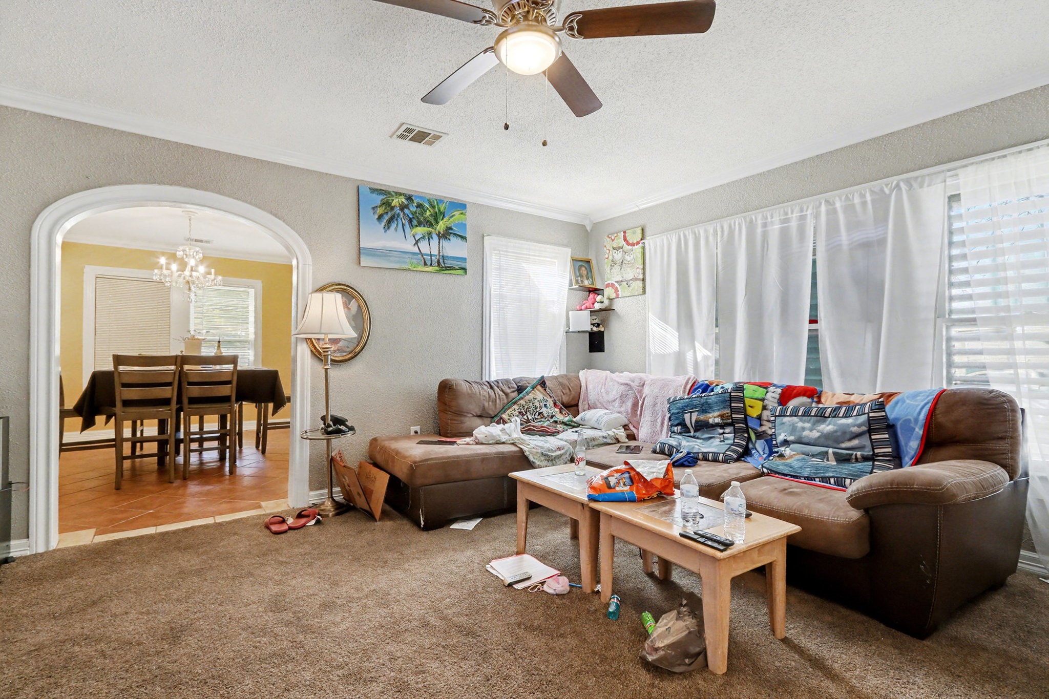 4921 Alamo Drive Property Photo 4