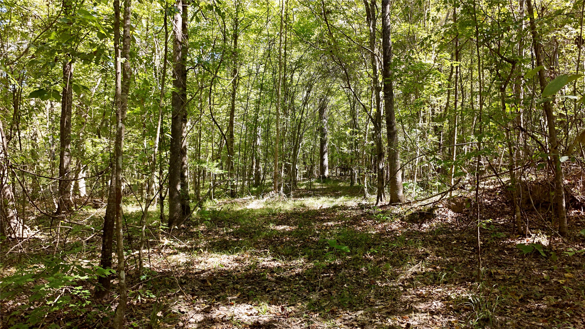 Tbd County Road 1058 Property Photo 8