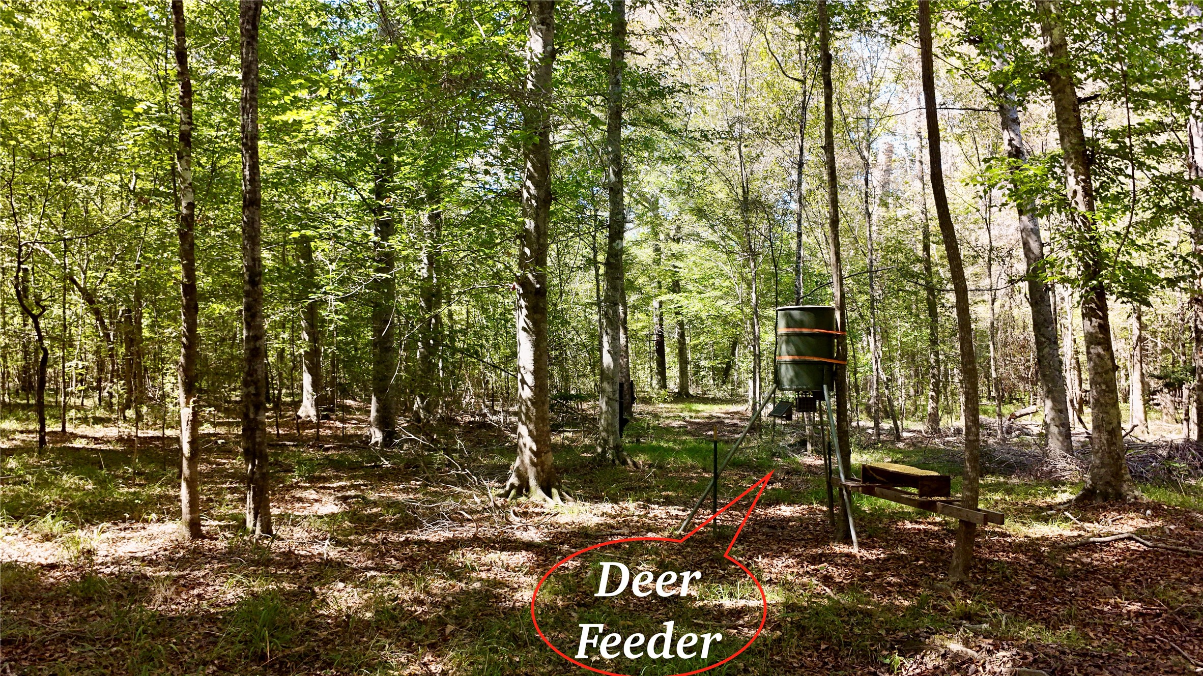 Tbd County Road 1058 Property Photo 15