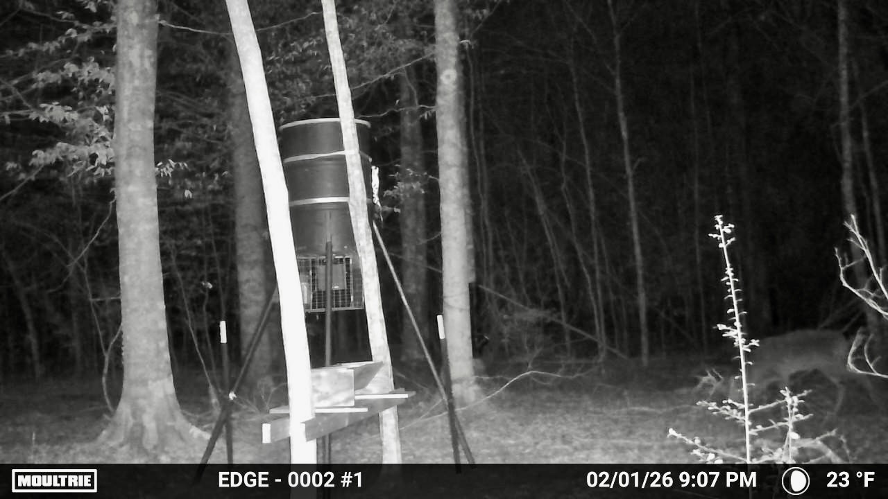 Tbd County Road 1058 Property Photo 21