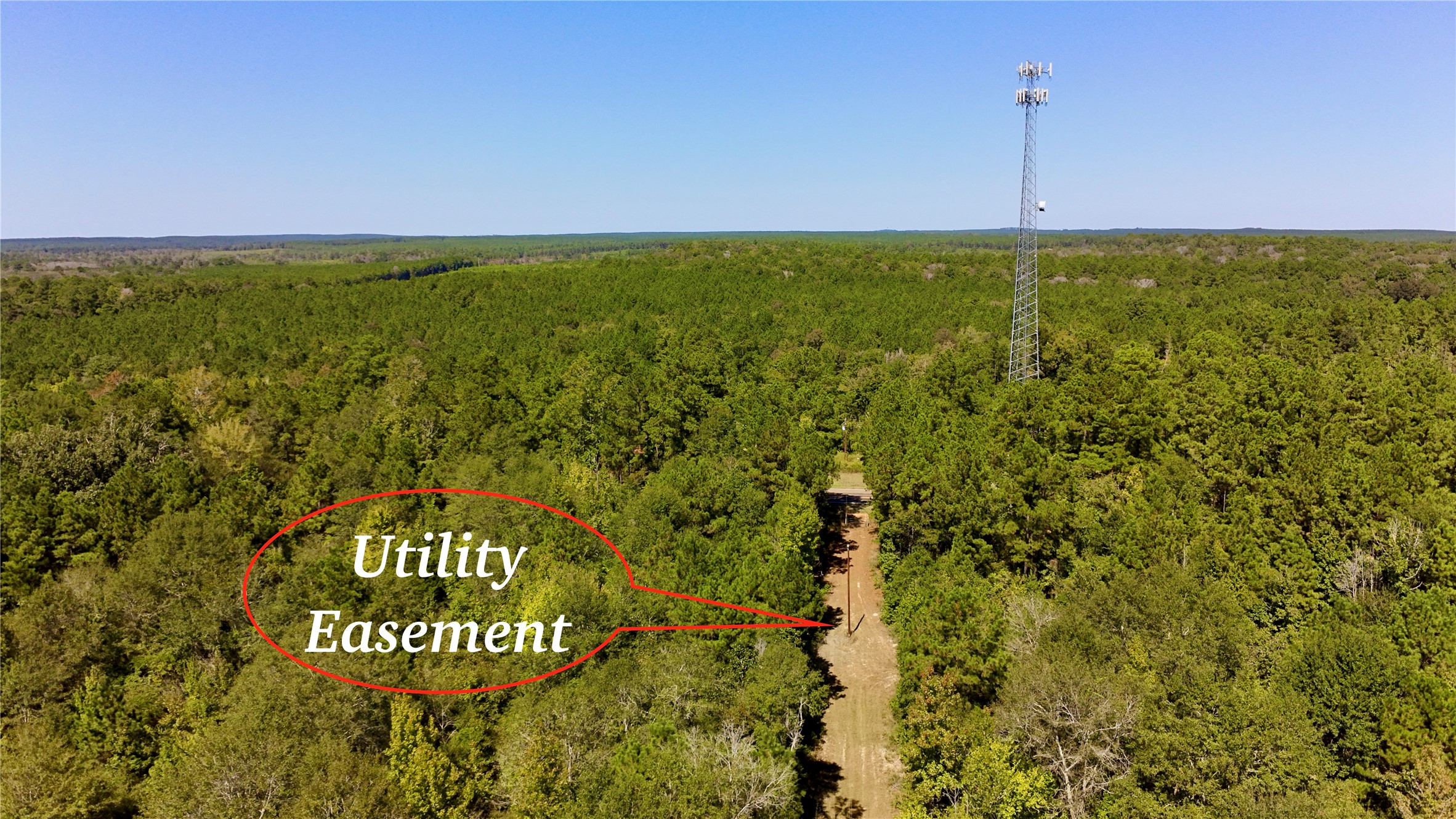 Tbd County Road 1058 Property Photo 27