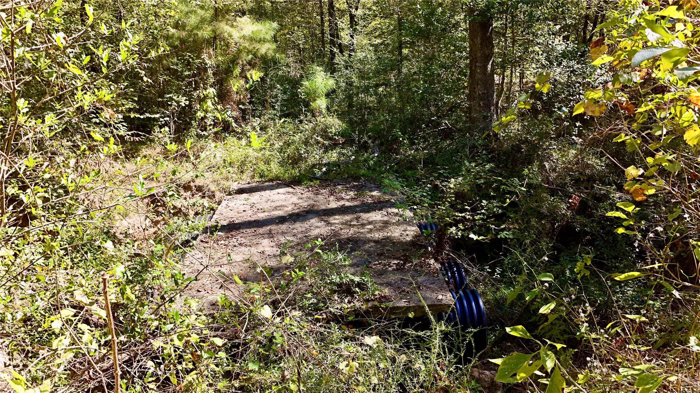 Tbd County Road 1058 Property Photo 37