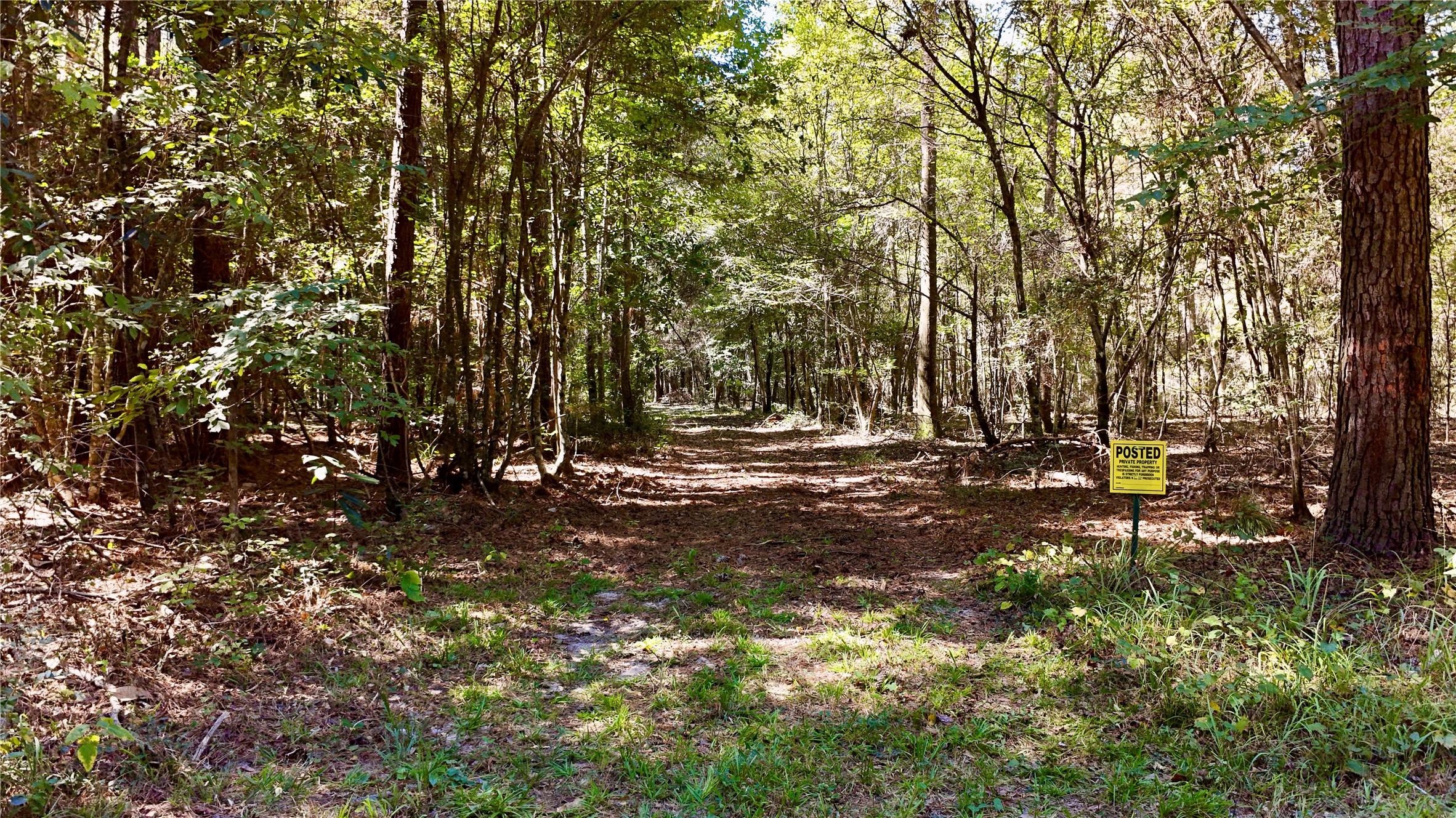 Tbd County Road 1058 Property Photo 40