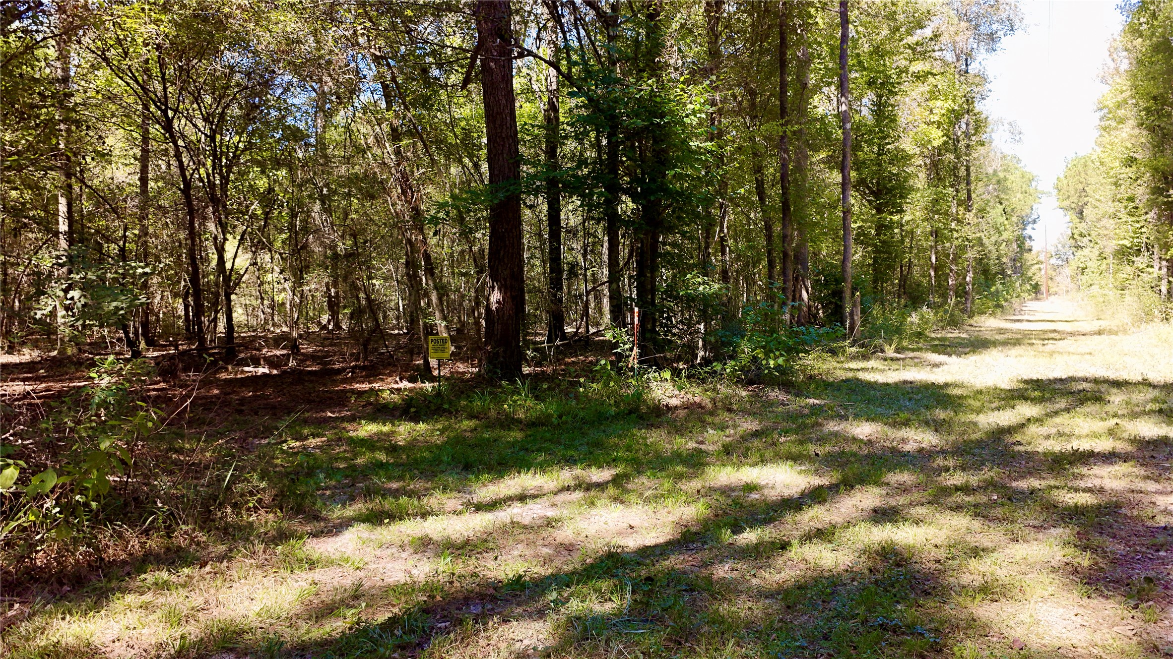 Tbd County Road 1058 Property Photo 41